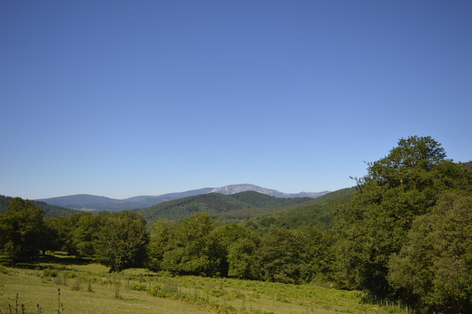 Nikon D3200 sample photo. Mountain, meadow, spring photography