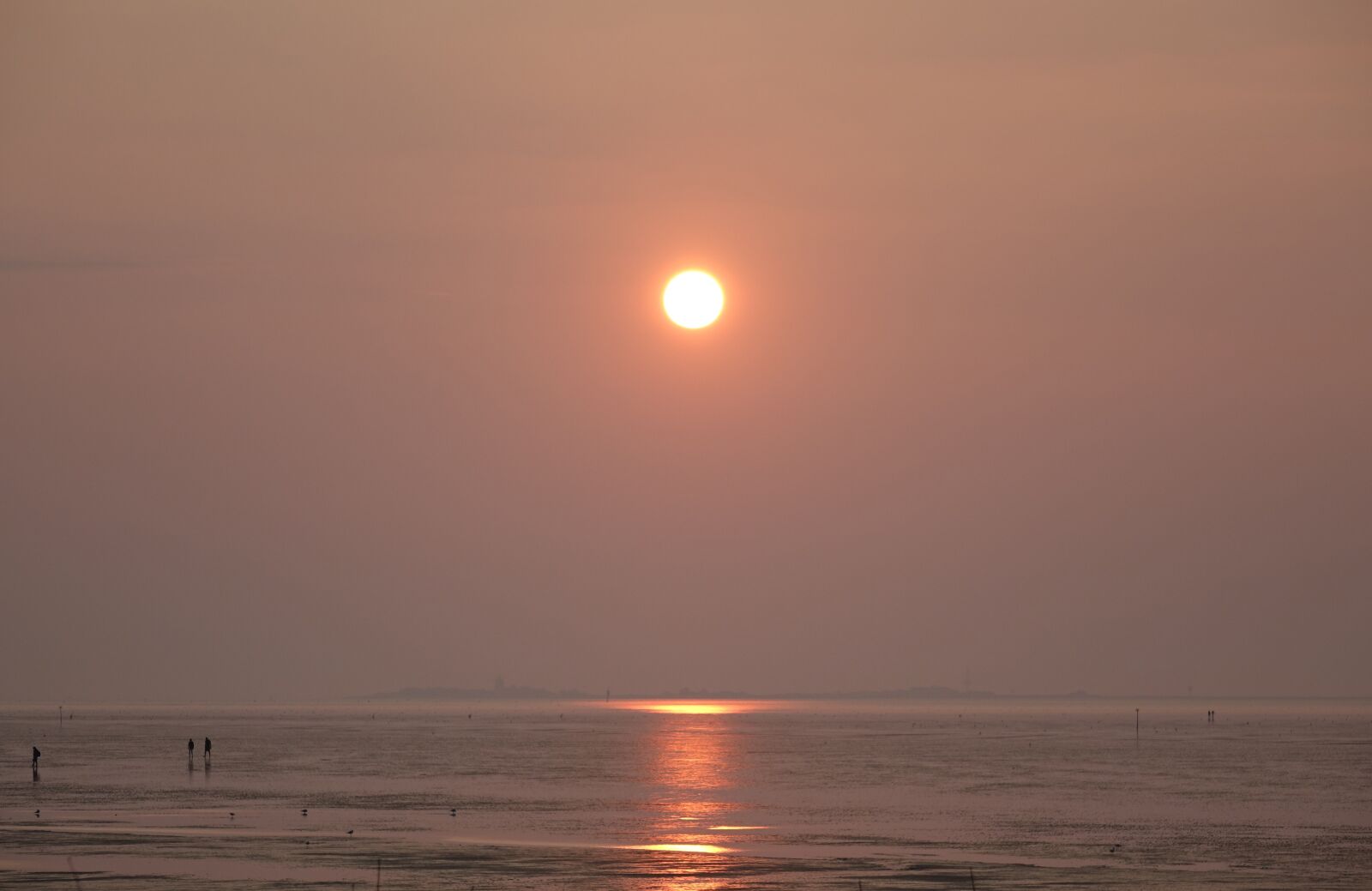Sony Cyber-shot DSC-RX10 sample photo. Sunset, wadden sea, north photography