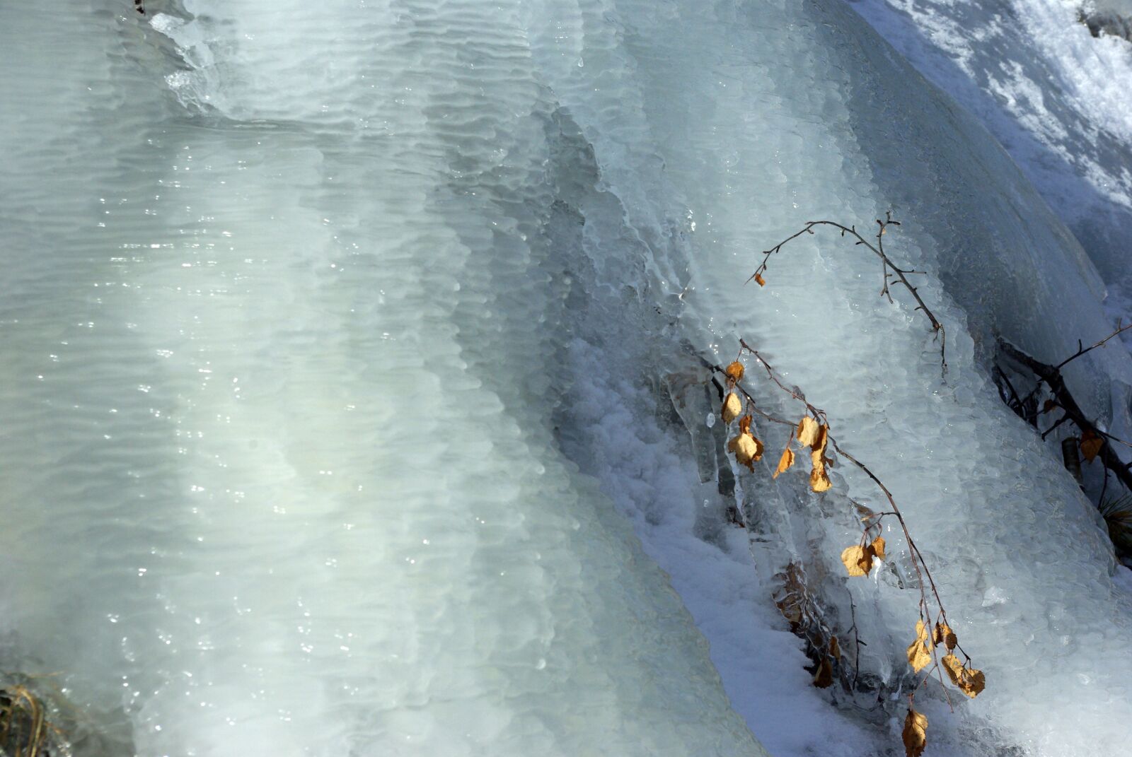 Pentax K10D sample photo. Ice, gel, winter photography