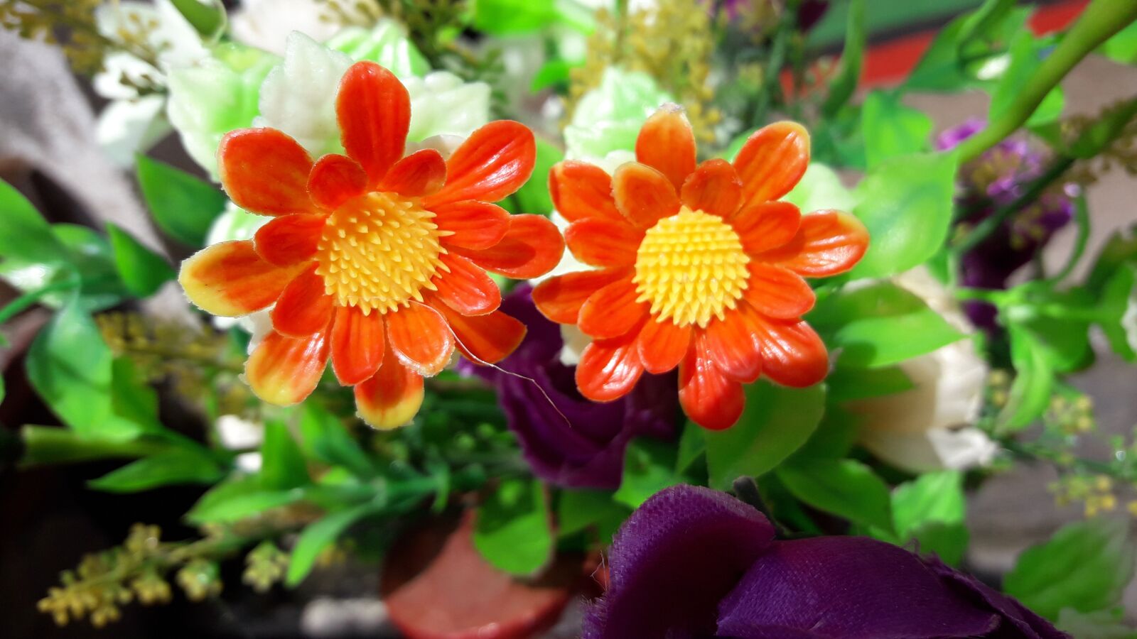 Samsung Galaxy J7 Neo sample photo. Flower images wallpaper, flower photography