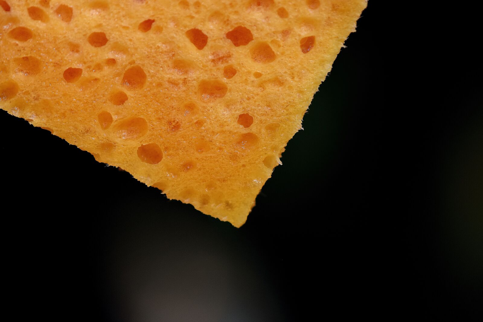 Nikon D7200 sample photo. Sponge, wet, clean photography