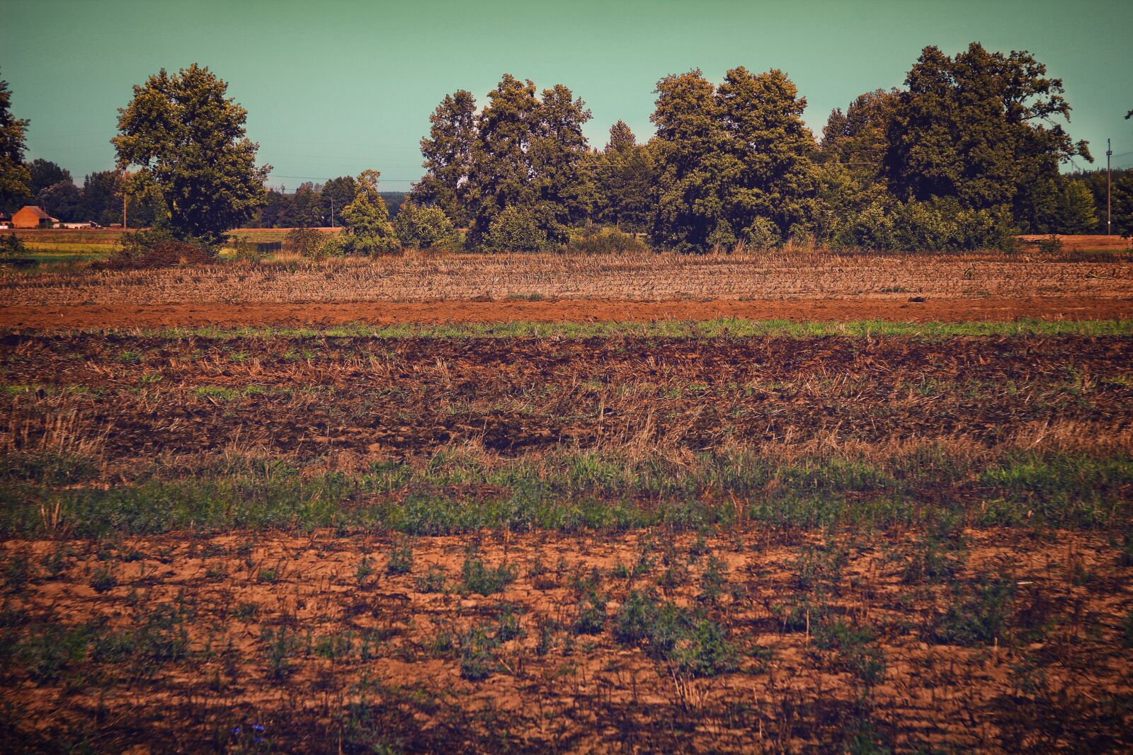 Canon EOS 1200D (EOS Rebel T5 / EOS Kiss X70 / EOS Hi) sample photo. Landscape, view, fields photography