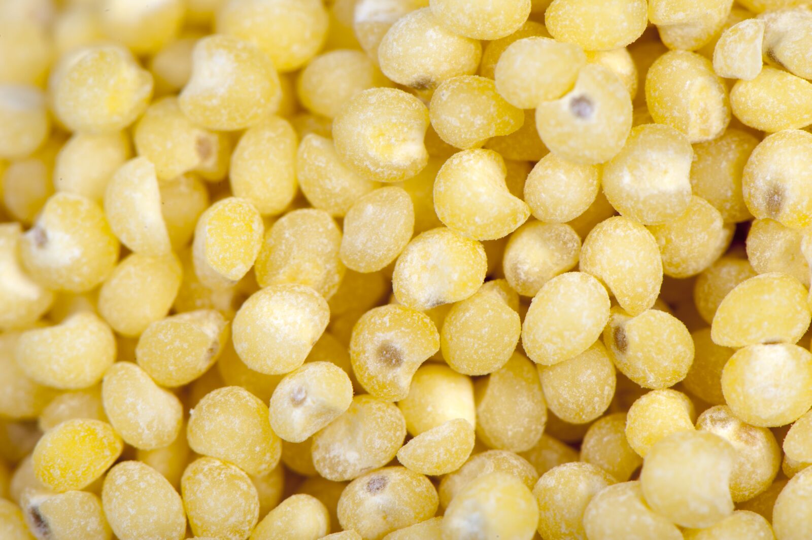 Nikon D700 sample photo. Food, millet, cereal photography
