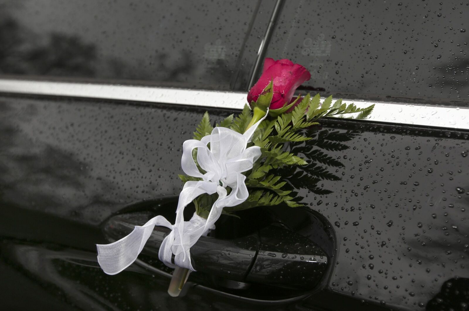 Canon EOS 5D Mark III sample photo. Rose, wedding, flowers photography