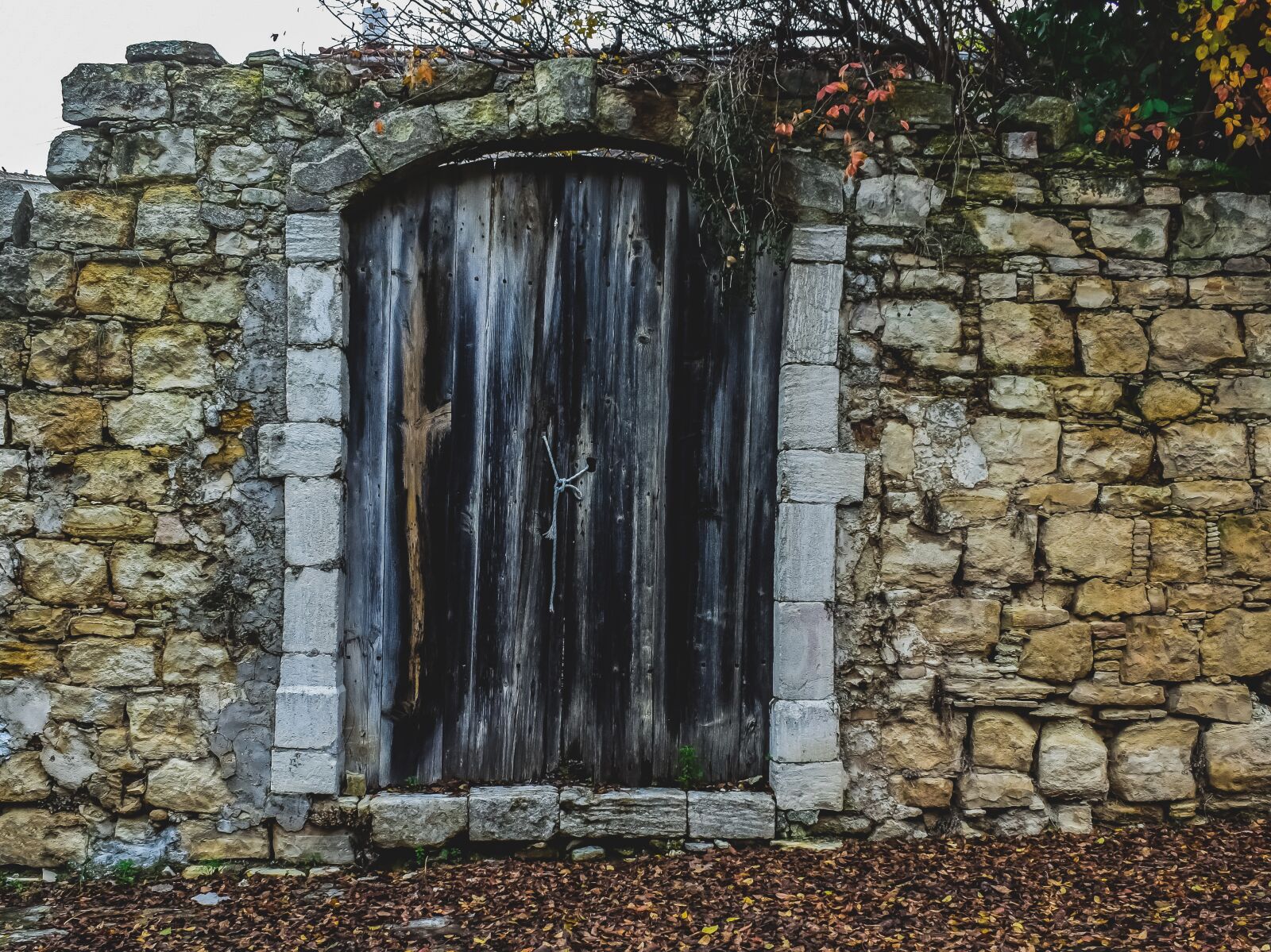 Nikon D3300 sample photo. Door, old, wooden photography