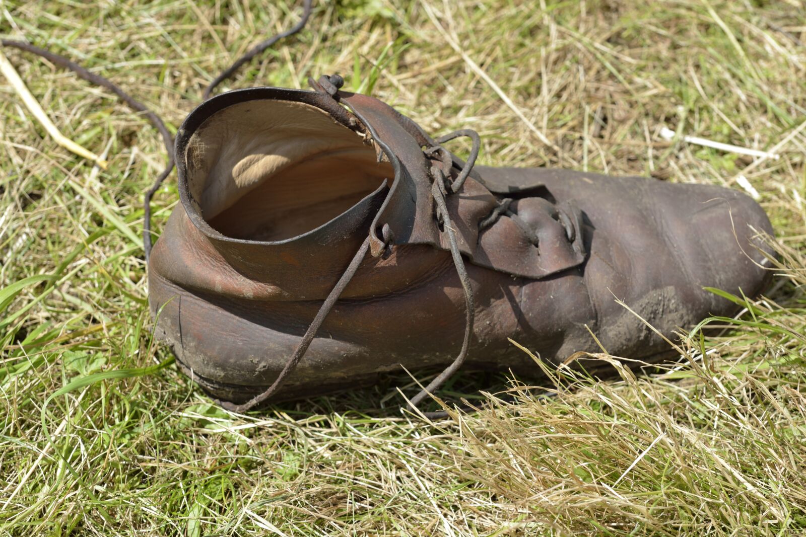 Nikon D7100 sample photo. Grass, nature, shoe photography