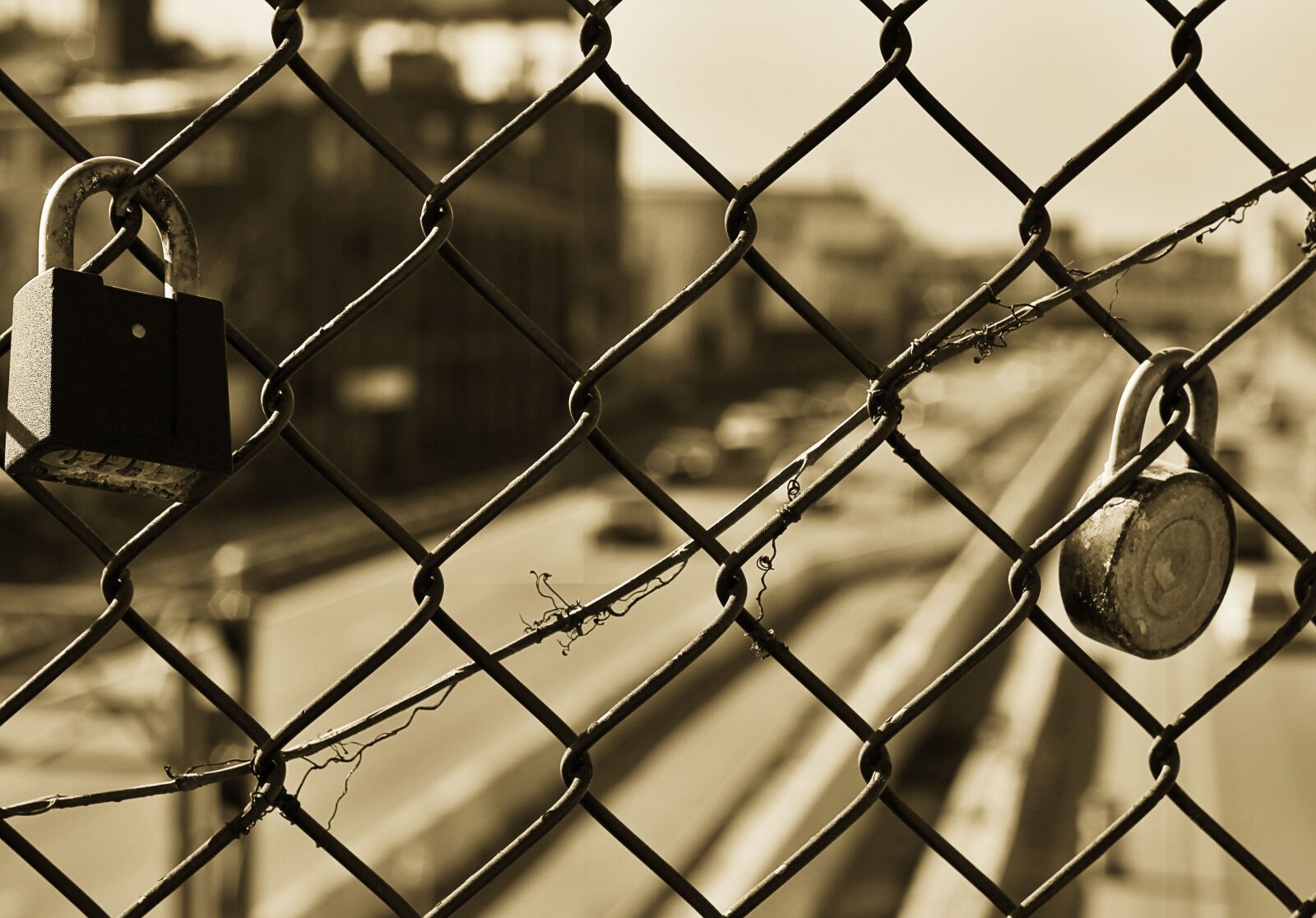 Canon EOS 550D (EOS Rebel T2i / EOS Kiss X4) + Canon EF 50mm F1.8 II sample photo. Fence, wire, metal, lock photography