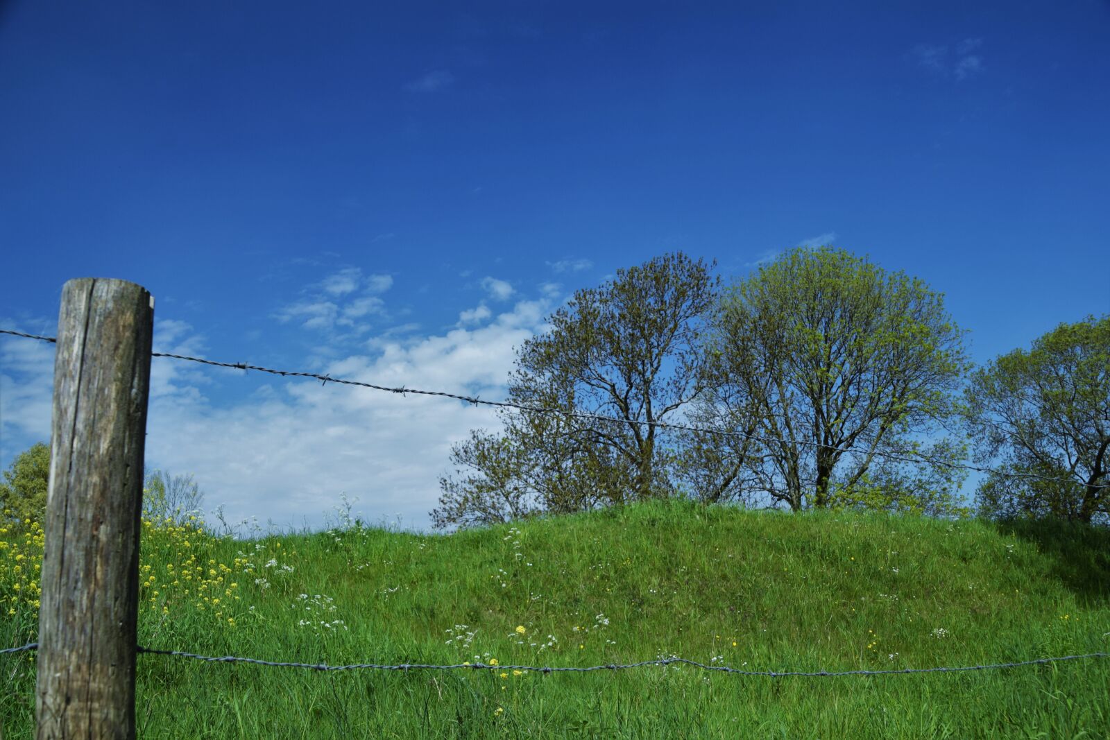 Nikon D3300 sample photo. Zwartewaal, dyke, blue sky photography
