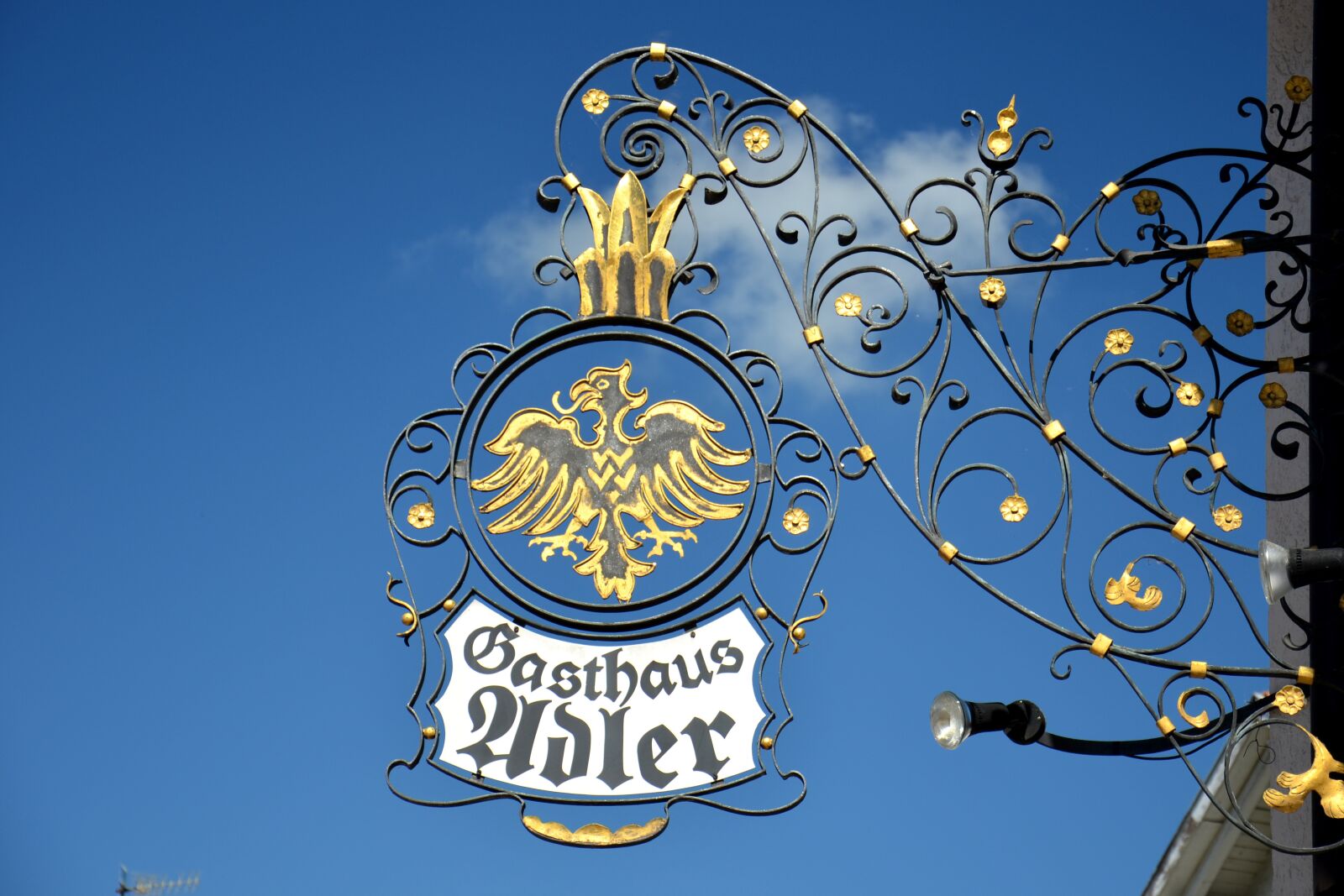 Nikon D5100 sample photo. Nasal signs, commercial signs photography
