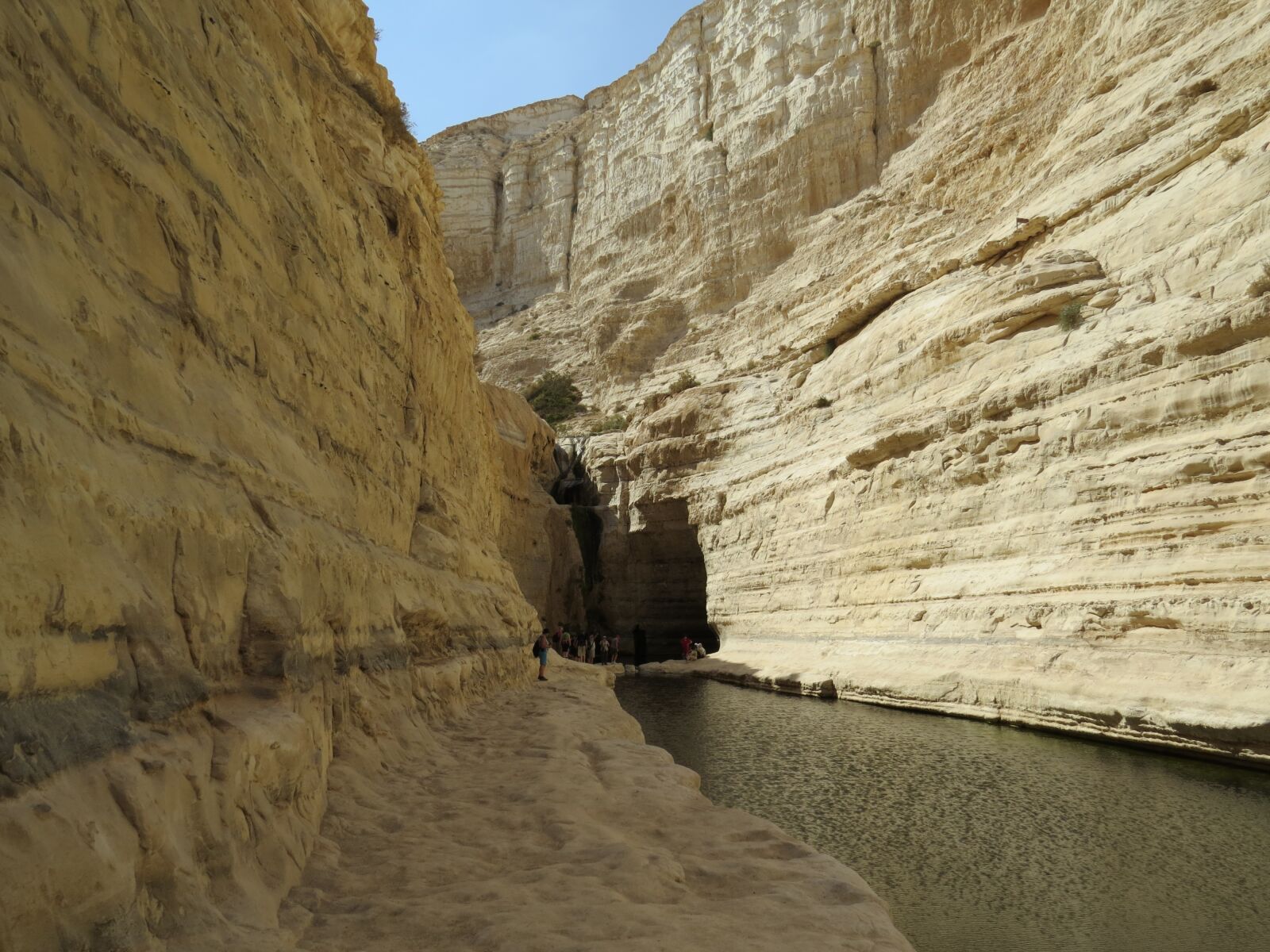 Canon PowerShot SX50 HS sample photo. Israel, en avdat, wilderness photography