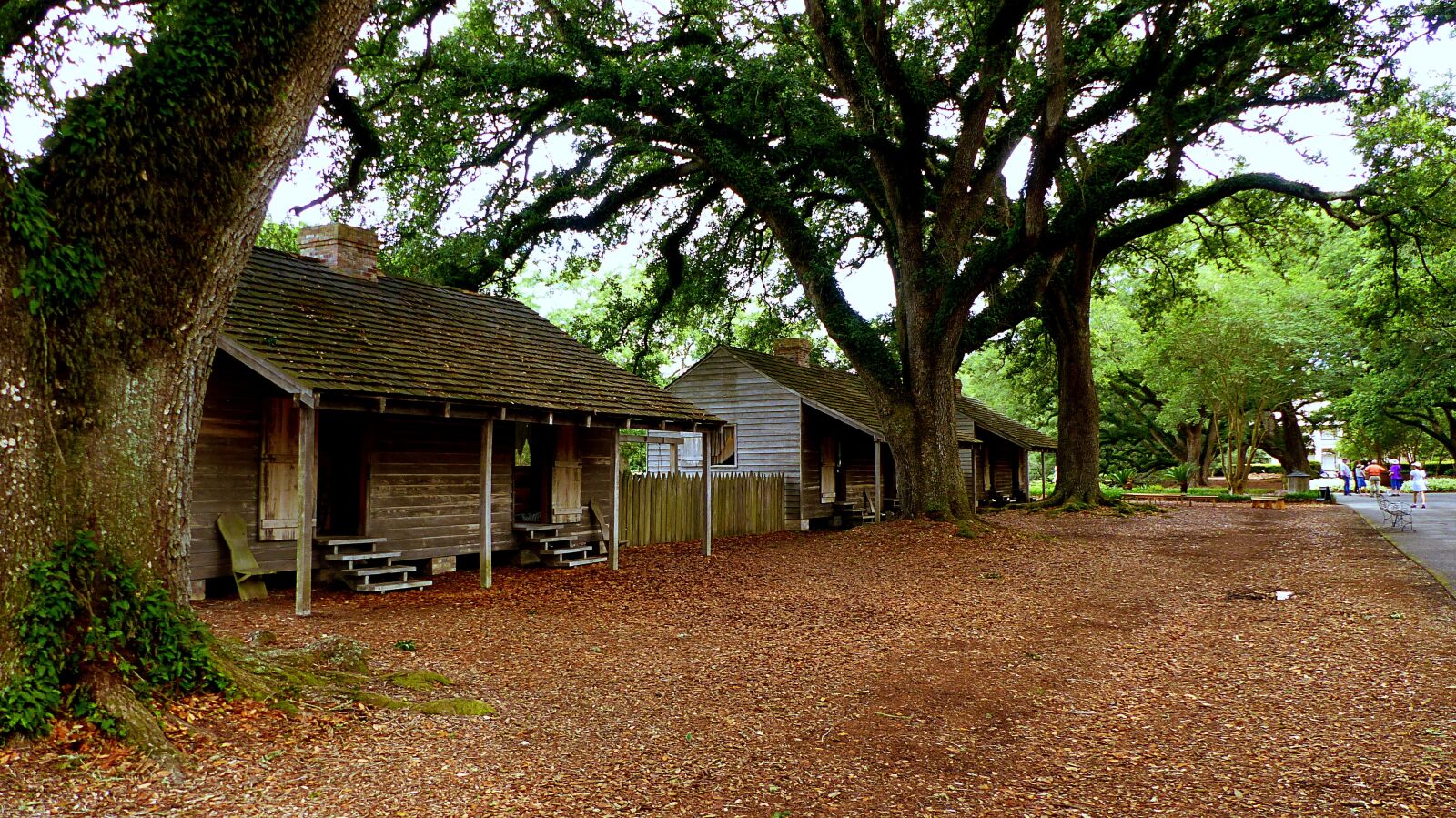 Panasonic Lumix DMC-FZ200 sample photo. Cabins, slaves, trees photography