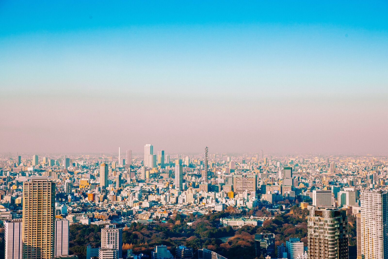 Nikon D810 sample photo. Tokyo, day, high rise photography