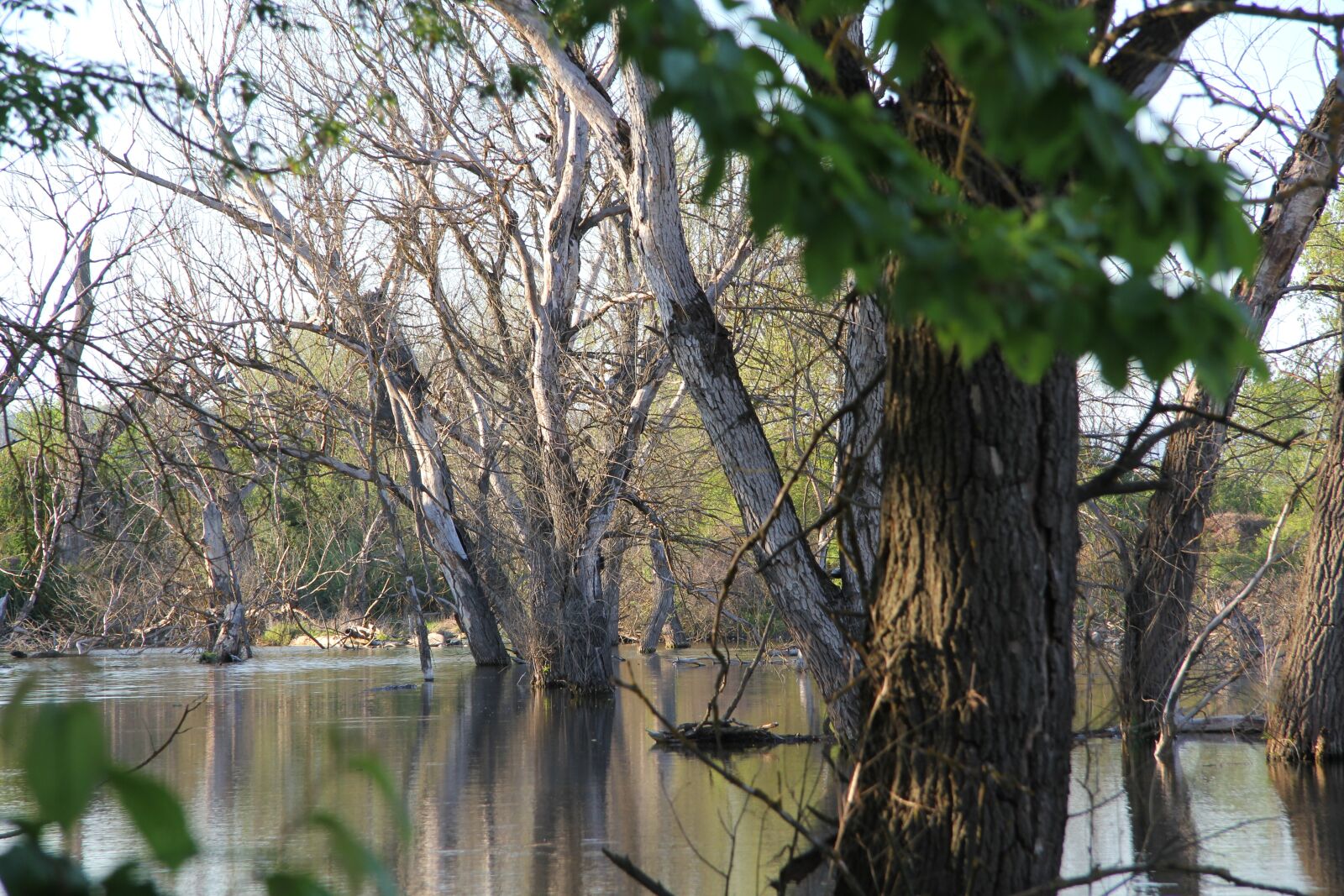Canon EF-S 17-85mm F4-5.6 IS USM sample photo. Lake, water, nature photography
