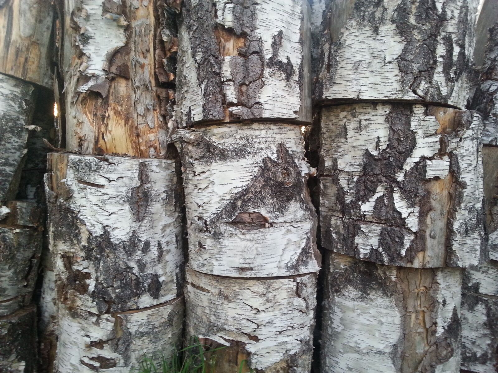 Samsung Galaxy S3 sample photo. Wood, firewood, background photography