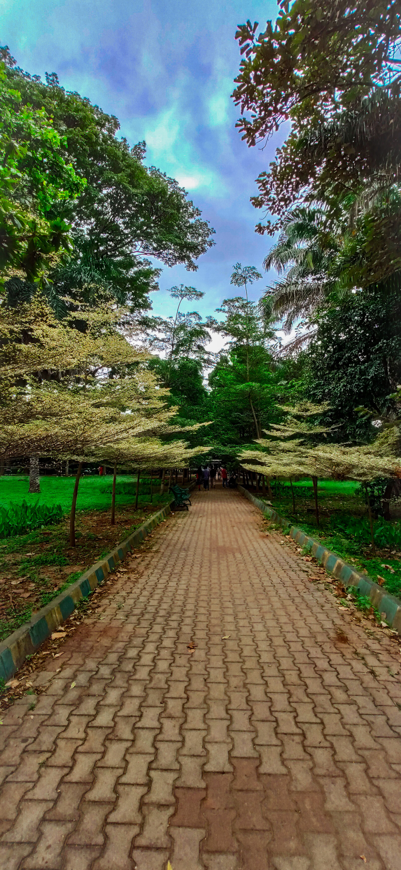 Xiaomi Redmi K20 sample photo. Lalbag botanical garden photography