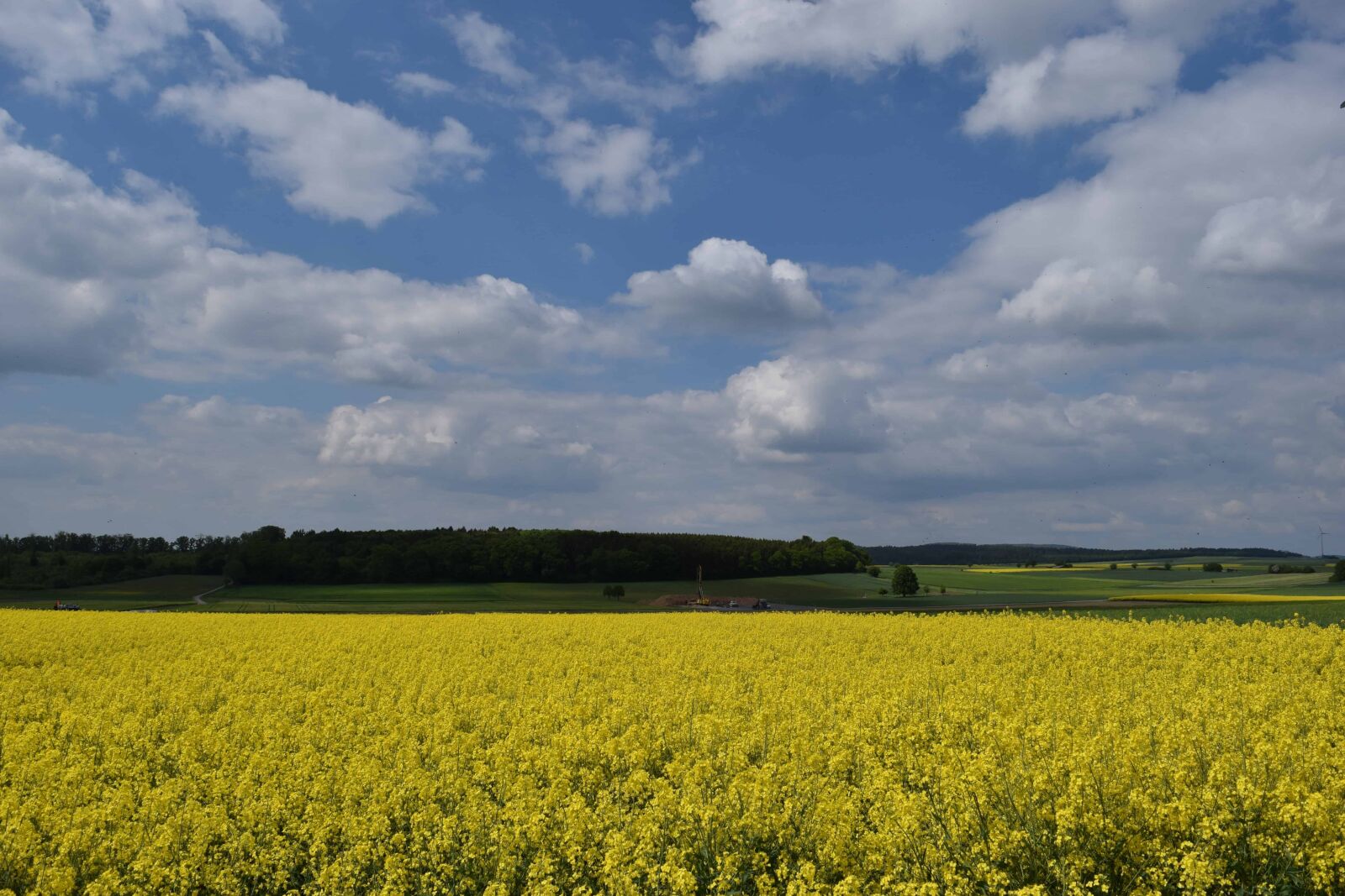Nikon D3300 sample photo. Field, countryside, sky, landscape photography