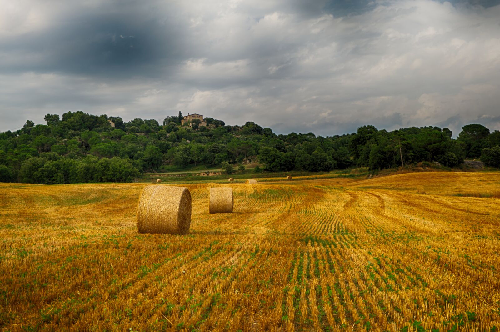 Fujifilm X-A2 sample photo. Harvest, field, wheat photography