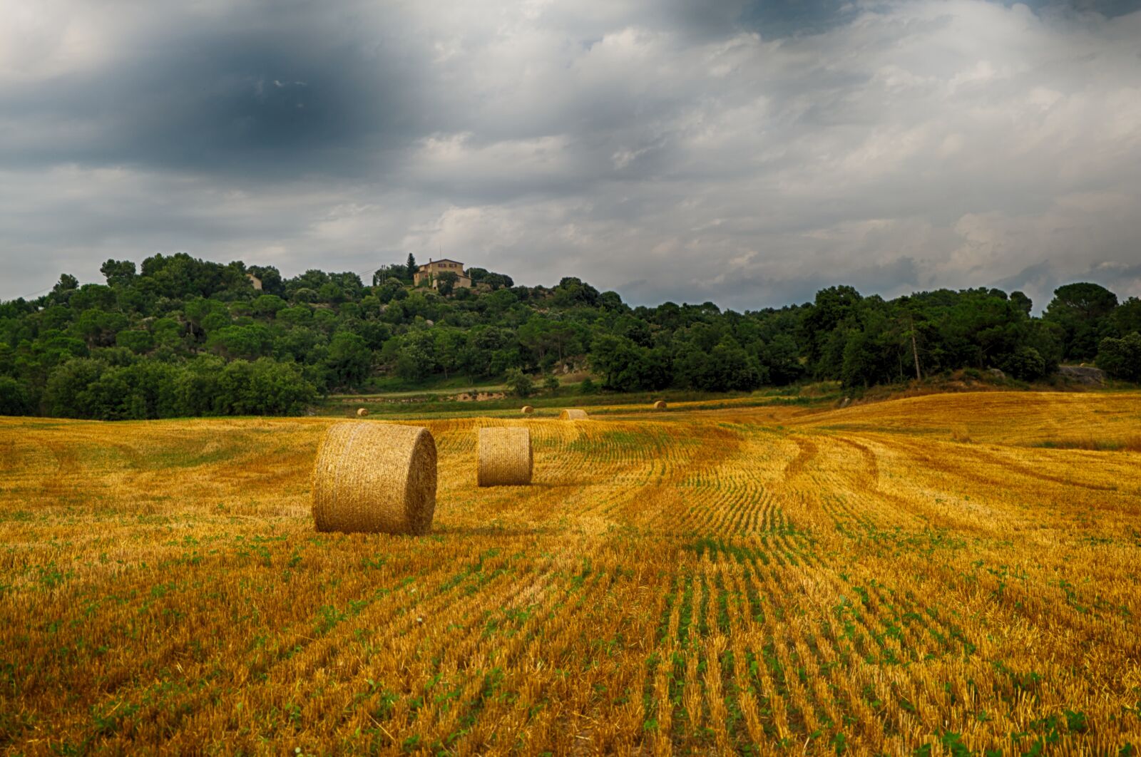 Fujifilm X-A2 + Fujifilm XC 16-50mm F3.5-5.6 OIS II sample photo. Harvest, field, wheat photography