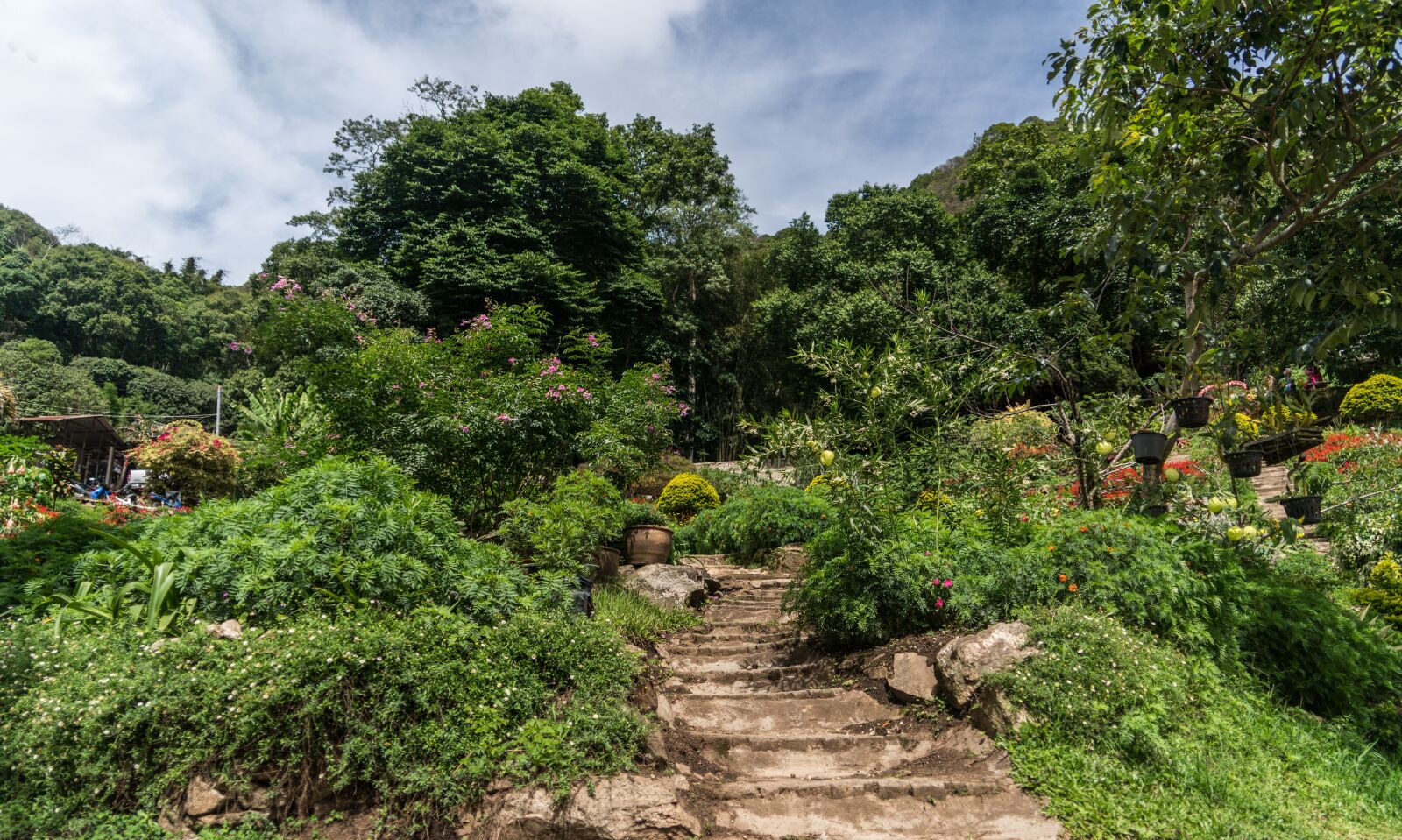 Sony a7R II + Sony FE 24-240mm F3.5-6.3 OSS sample photo. Chiang mai, thailand, asia photography