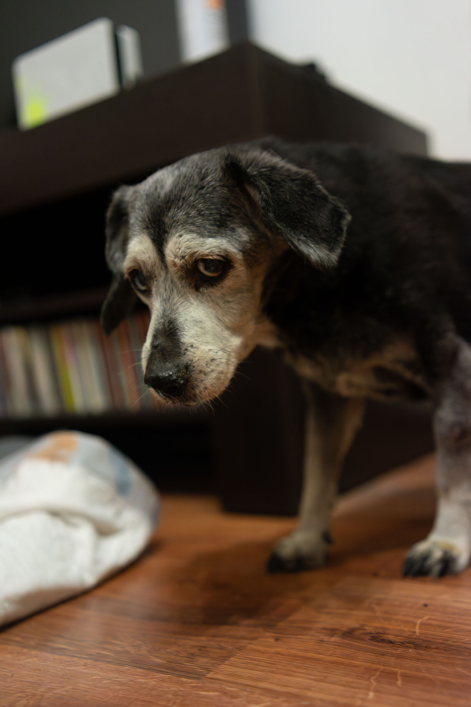 Samyang AF 35mm F1.8 FE sample photo
