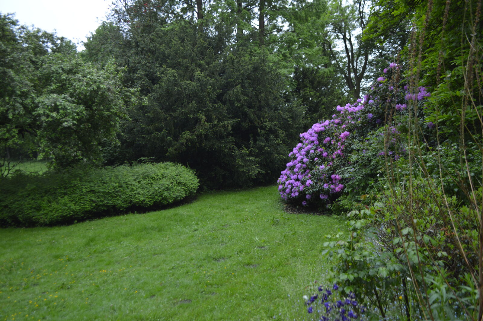 Nikon D3200 sample photo. Flowers, hide, peaceful photography