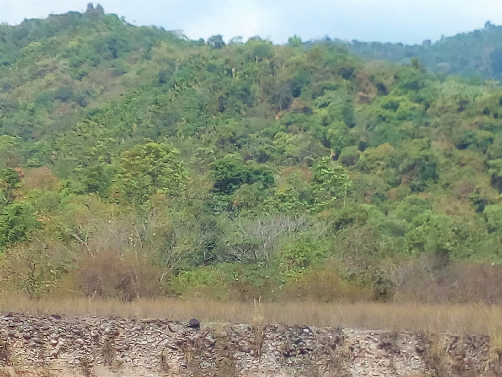 Symphony R100 sample photo. Bangladesh, sylhet, mountain photography
