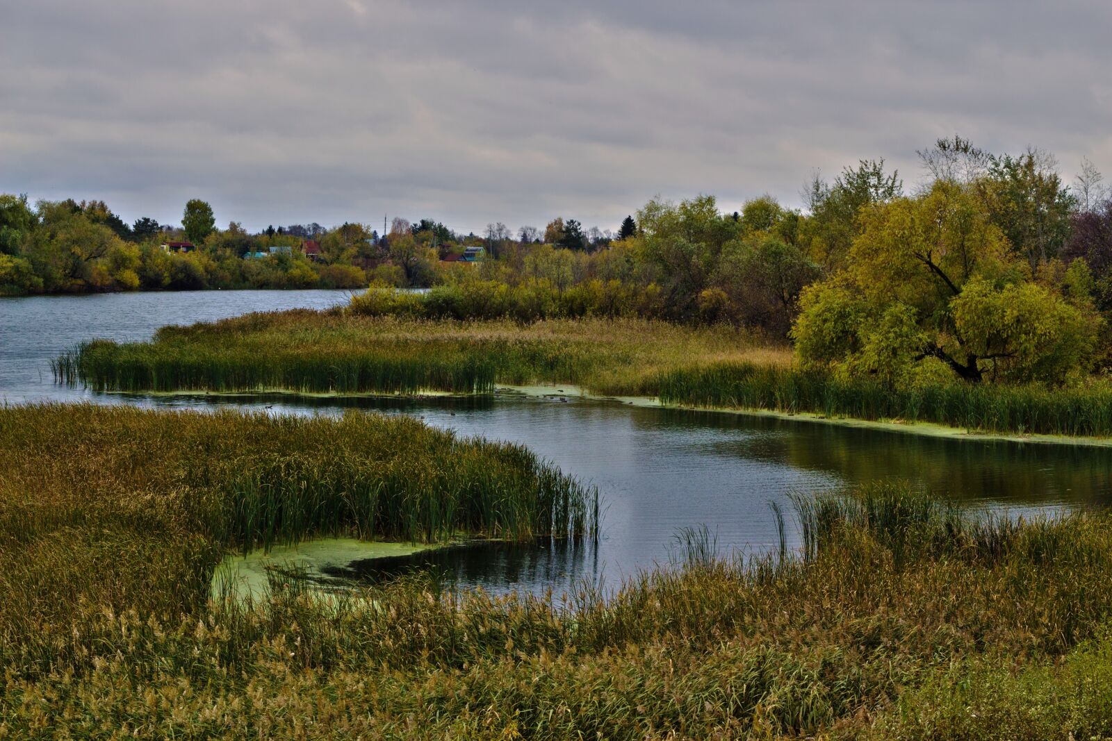 Canon EOS 600D (Rebel EOS T3i / EOS Kiss X5) + Canon EF 50mm F1.8 II sample photo. Autumn, river, landscape photography