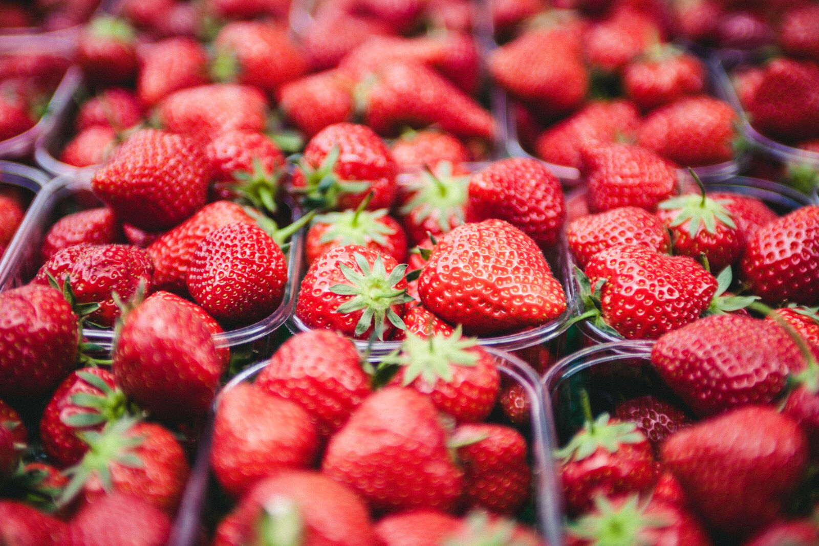 Canon EF 28-70mm f/2.8L USM sample photo. Strawberries, on, clear, plastic photography