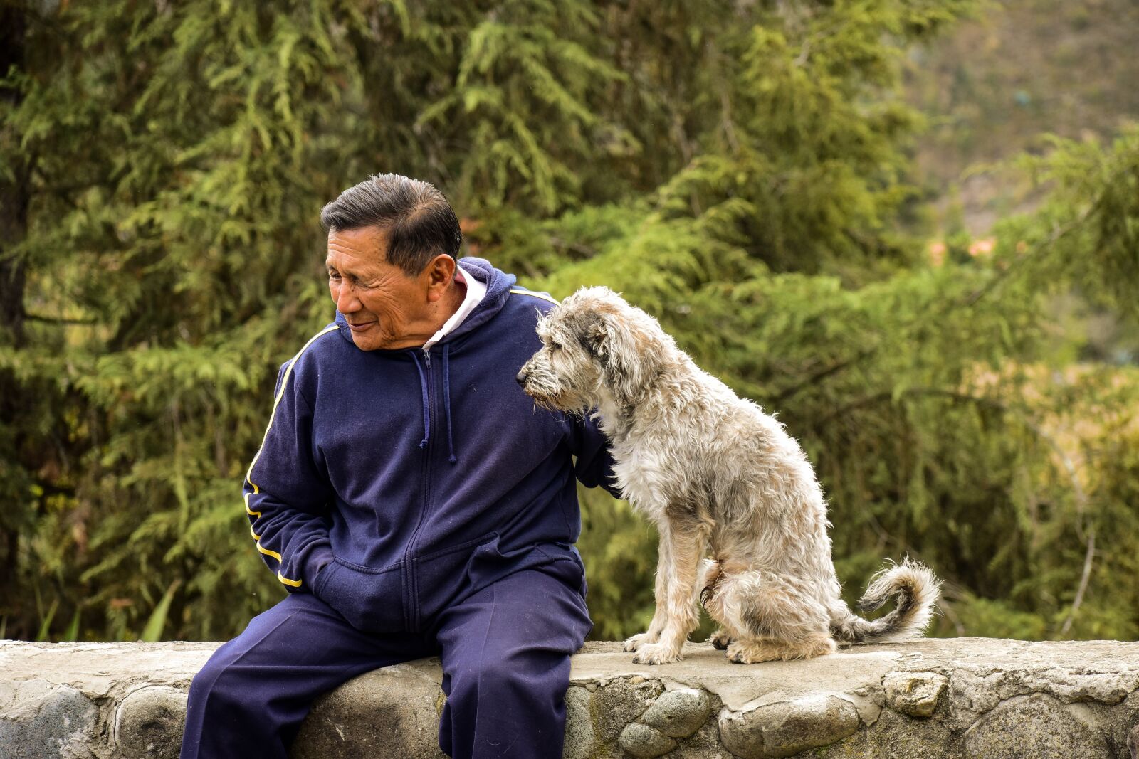 Nikon D3400 sample photo. Older, dog, old man photography