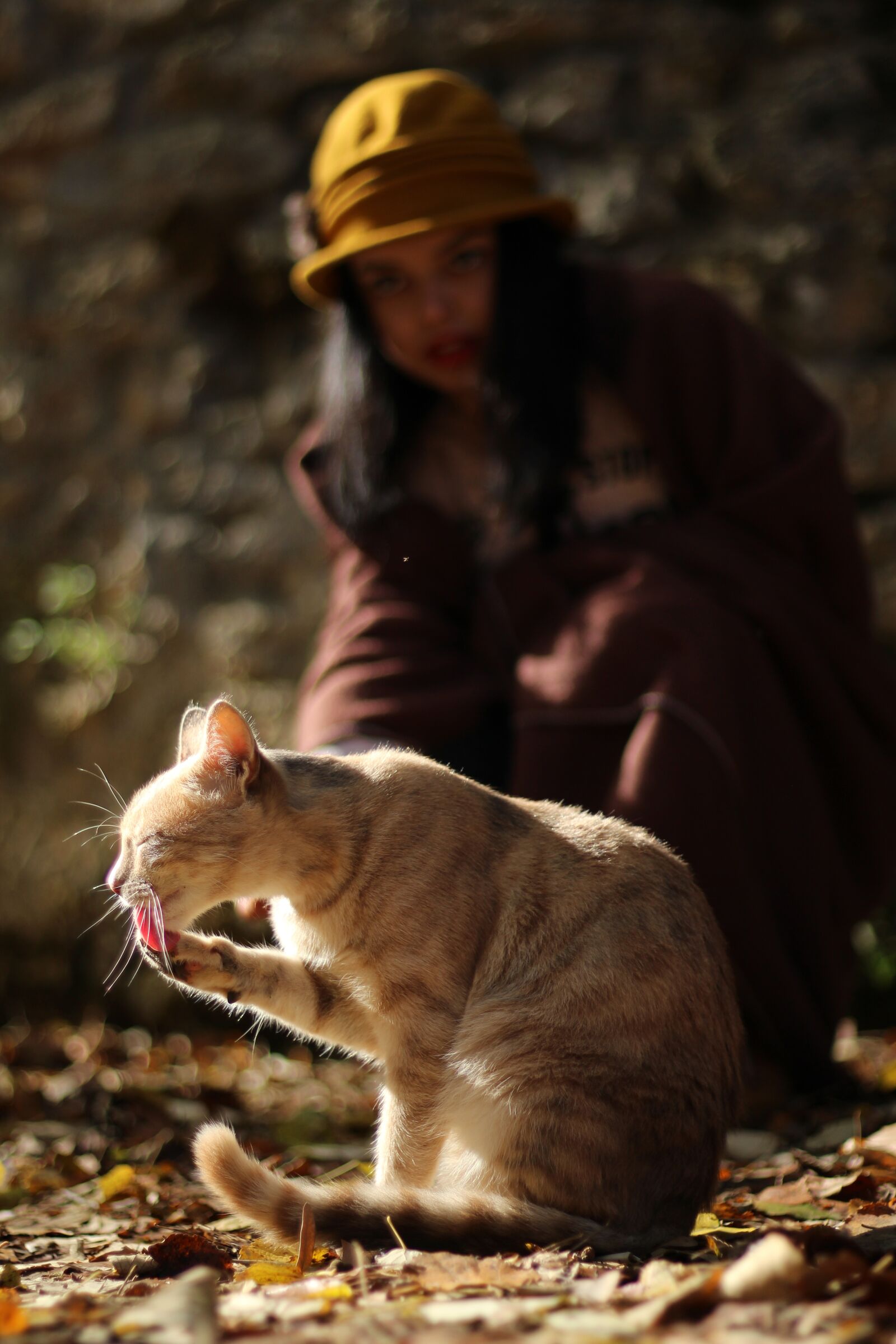 Canon EOS 700D (EOS Rebel T5i / EOS Kiss X7i) + Canon EF 50mm F1.8 STM sample photo. Single, outdoor, nature photography