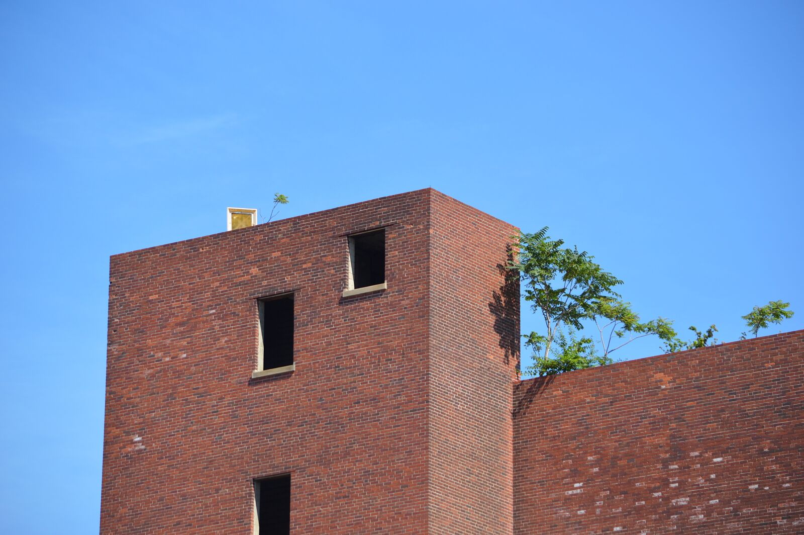 Nikon D3200 sample photo. Window, nature, brick photography