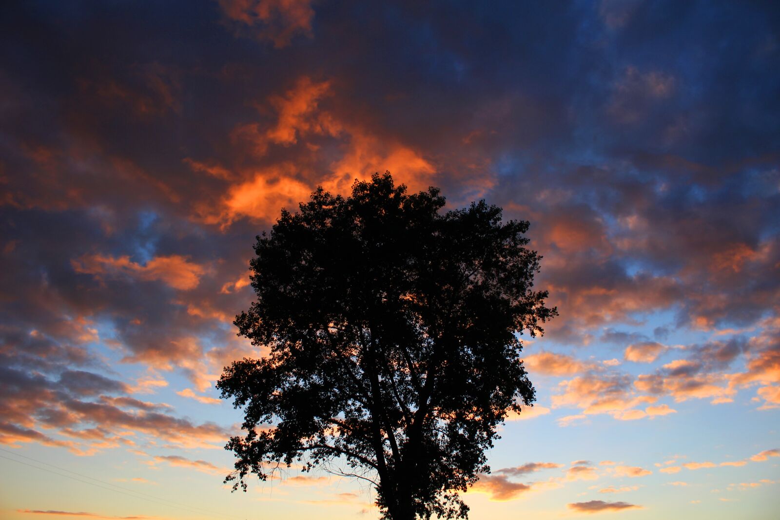 Canon EOS 100D (EOS Rebel SL1 / EOS Kiss X7) sample photo. Wood, sky, sunset photography