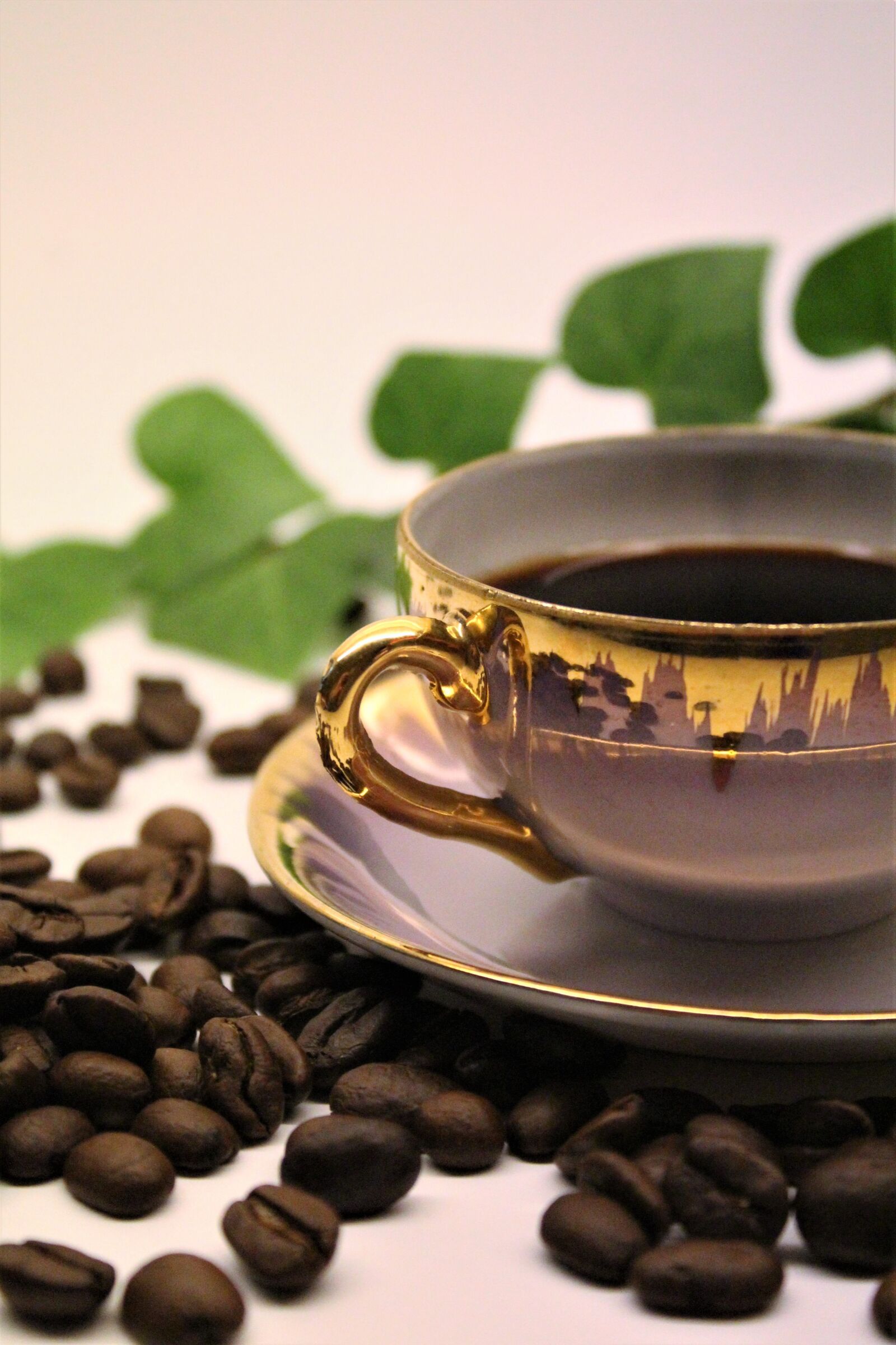 Canon EOS 1300D (EOS Rebel T6 / EOS Kiss X80) sample photo. Coffee, coffee beans, afternoon photography
