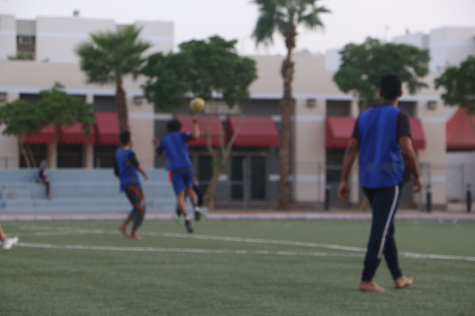 Canon EOS 70D sample photo