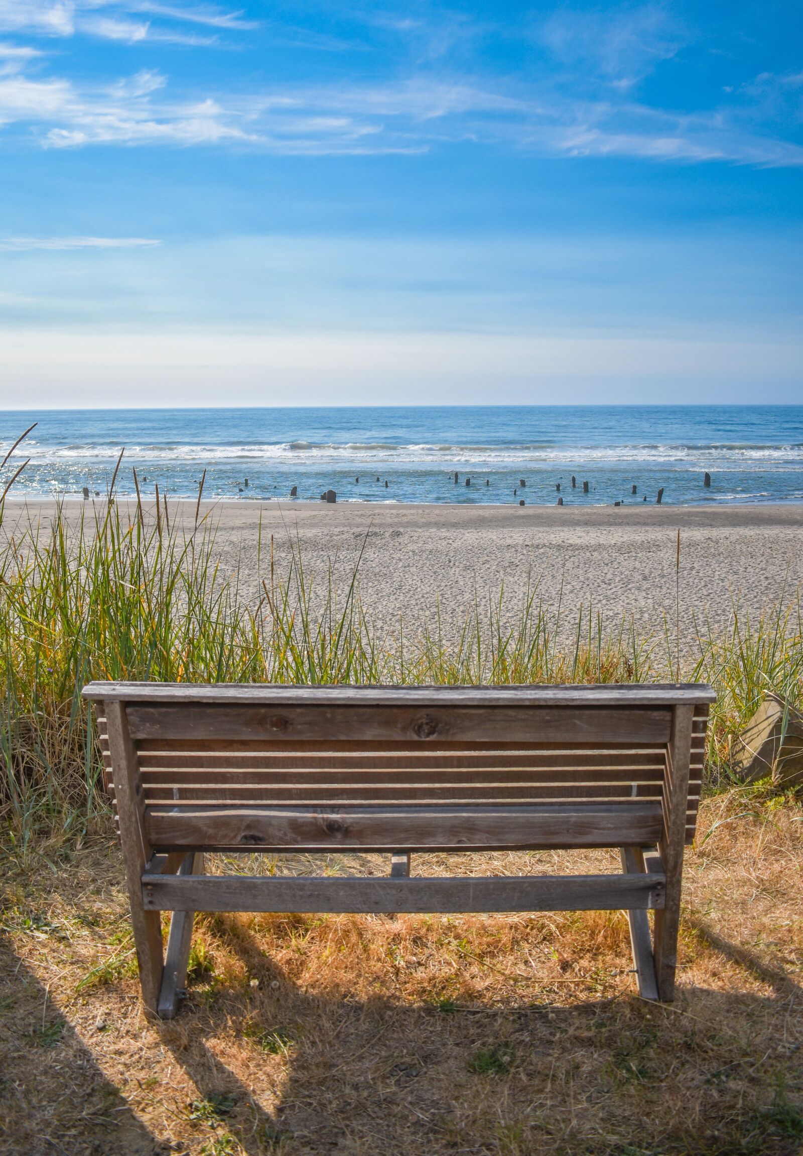 Nikon D3400 sample photo. Bench, ocean, coast photography