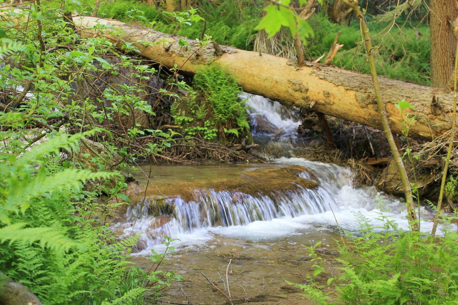 Canon EOS 1100D (EOS Rebel T3 / EOS Kiss X50) sample photo. Waterfall, stream, cascade photography