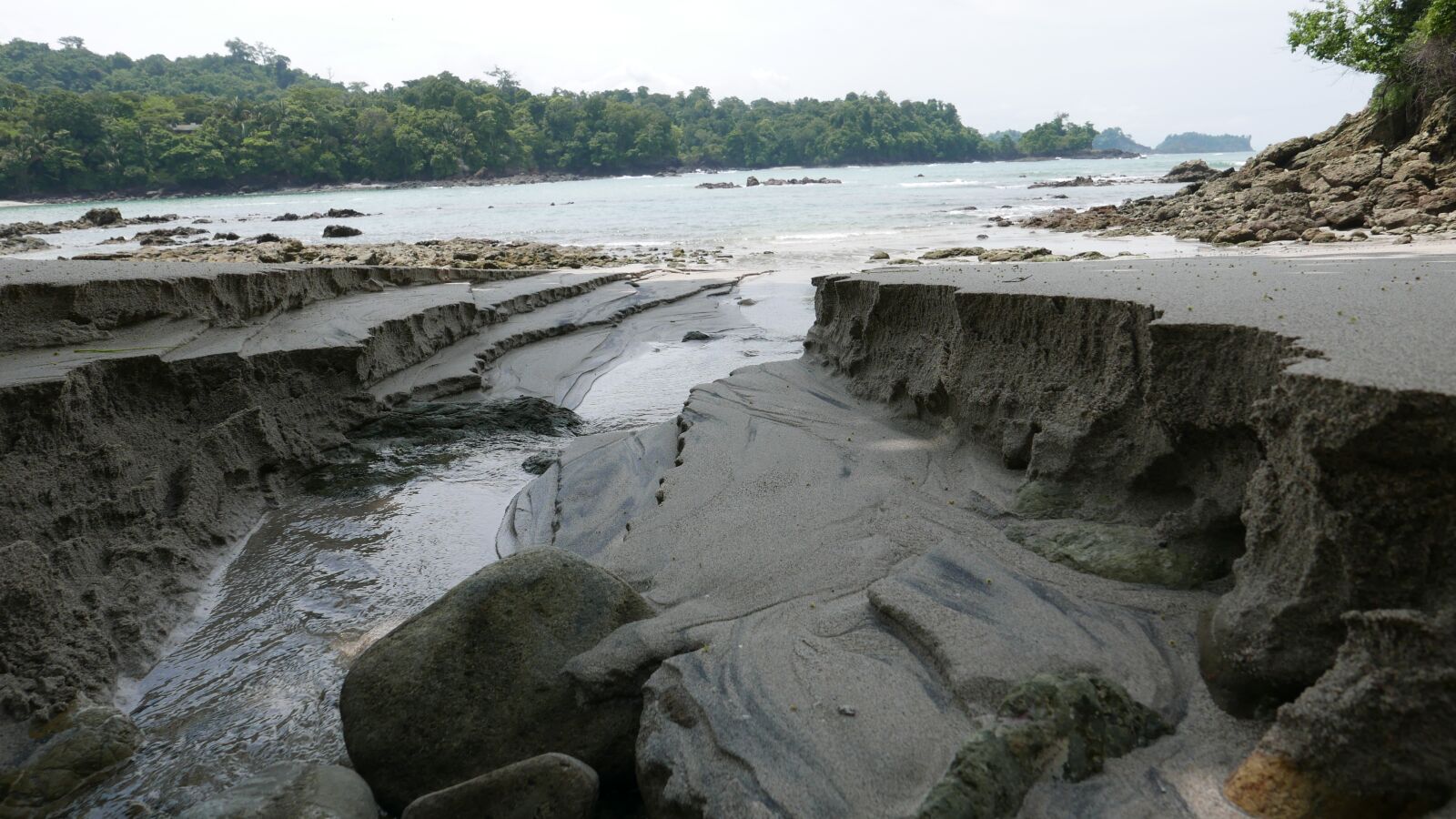 Panasonic Lumix DMC-LX100 sample photo. Parque nationnal, manuel antonio photography