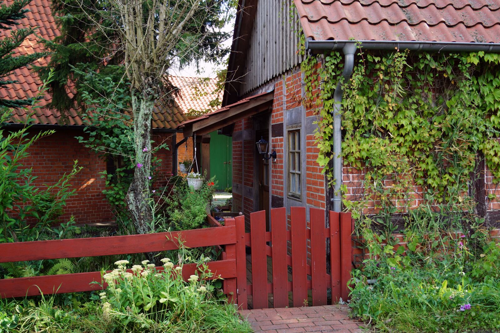 Sony DT 18-55mm F3.5-5.6 SAM II sample photo. House, fence, fence gate photography