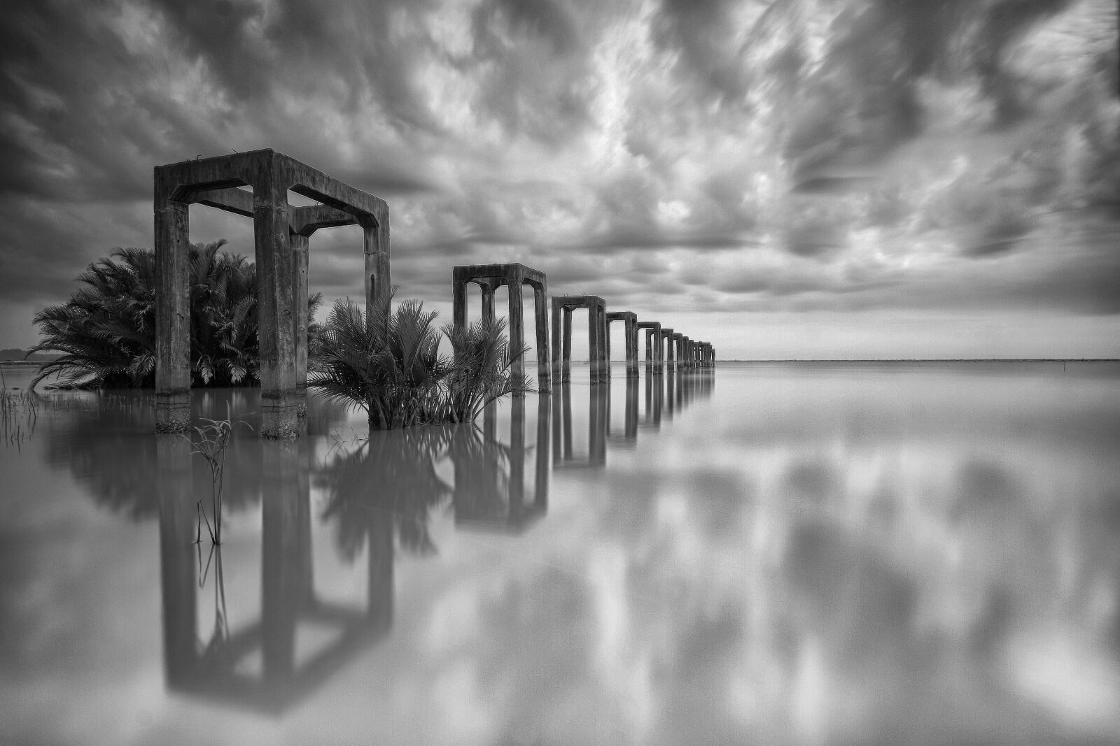 Canon EOS 50D sample photo. Black, and, white, bridge photography