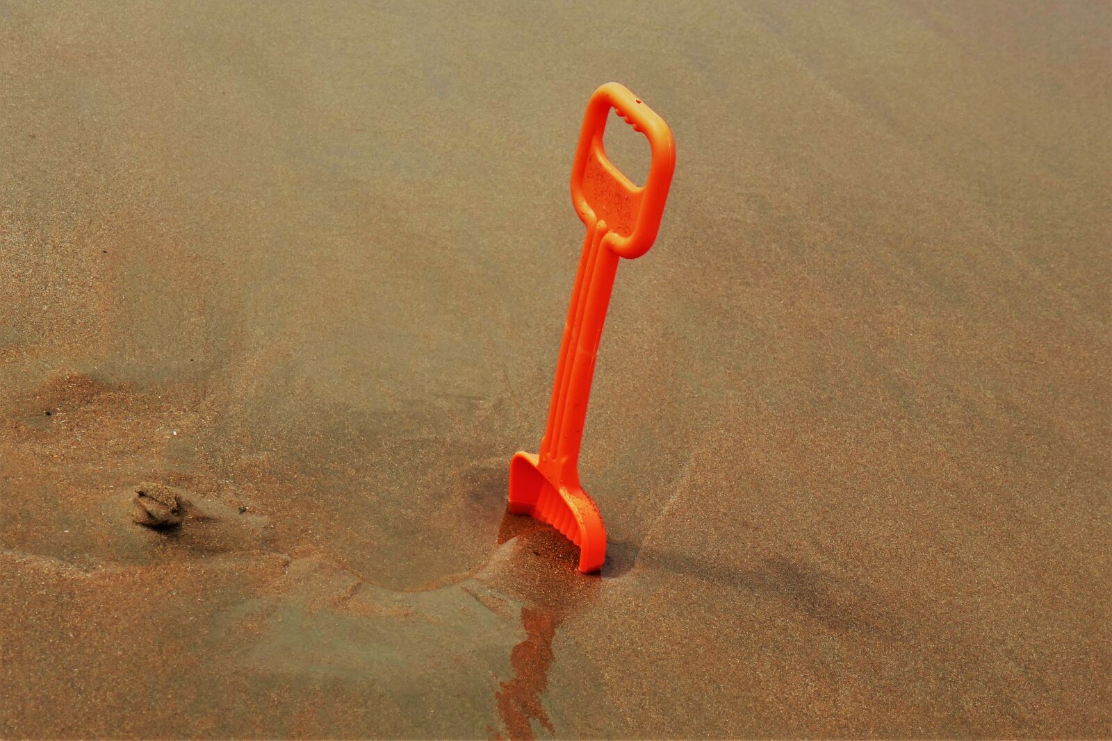 Panasonic DMC-TZ101 sample photo. Beach, play, sand shovel photography