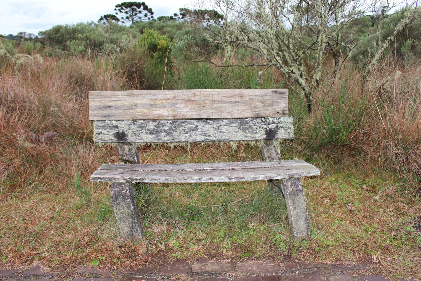 Canon EOS 700D (EOS Rebel T5i / EOS Kiss X7i) sample photo. Landscape, campestre, field photography