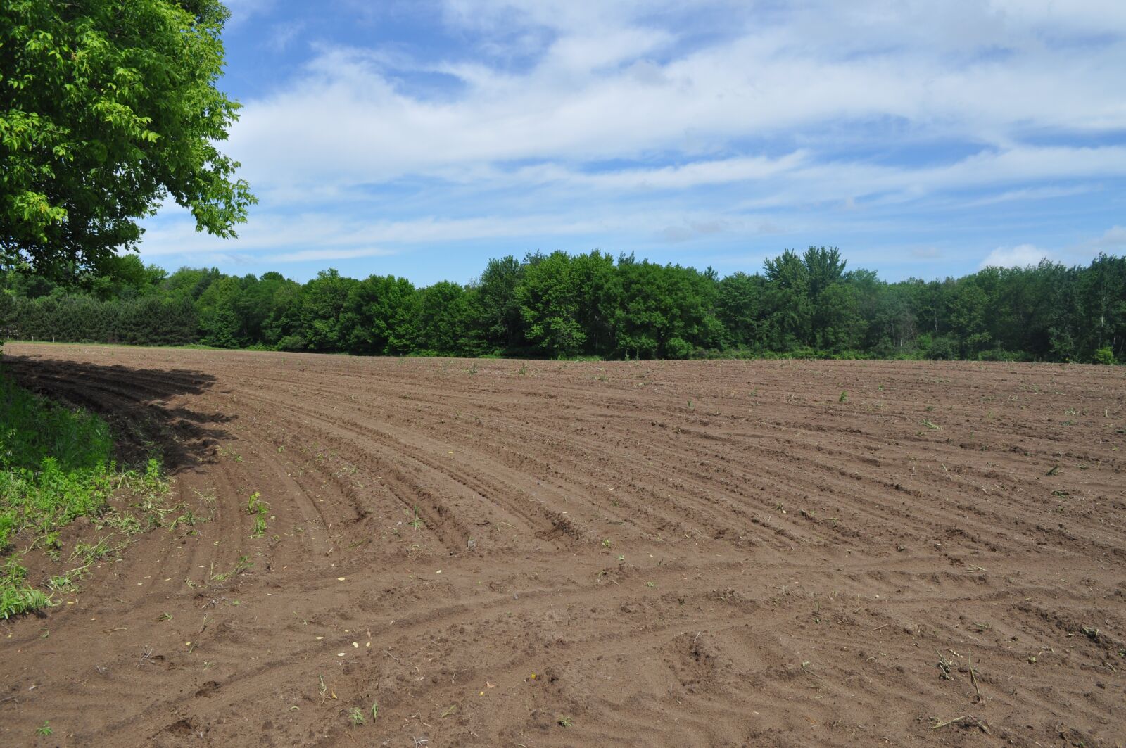 Nikon D5000 sample photo. Farm, field, landscape photography