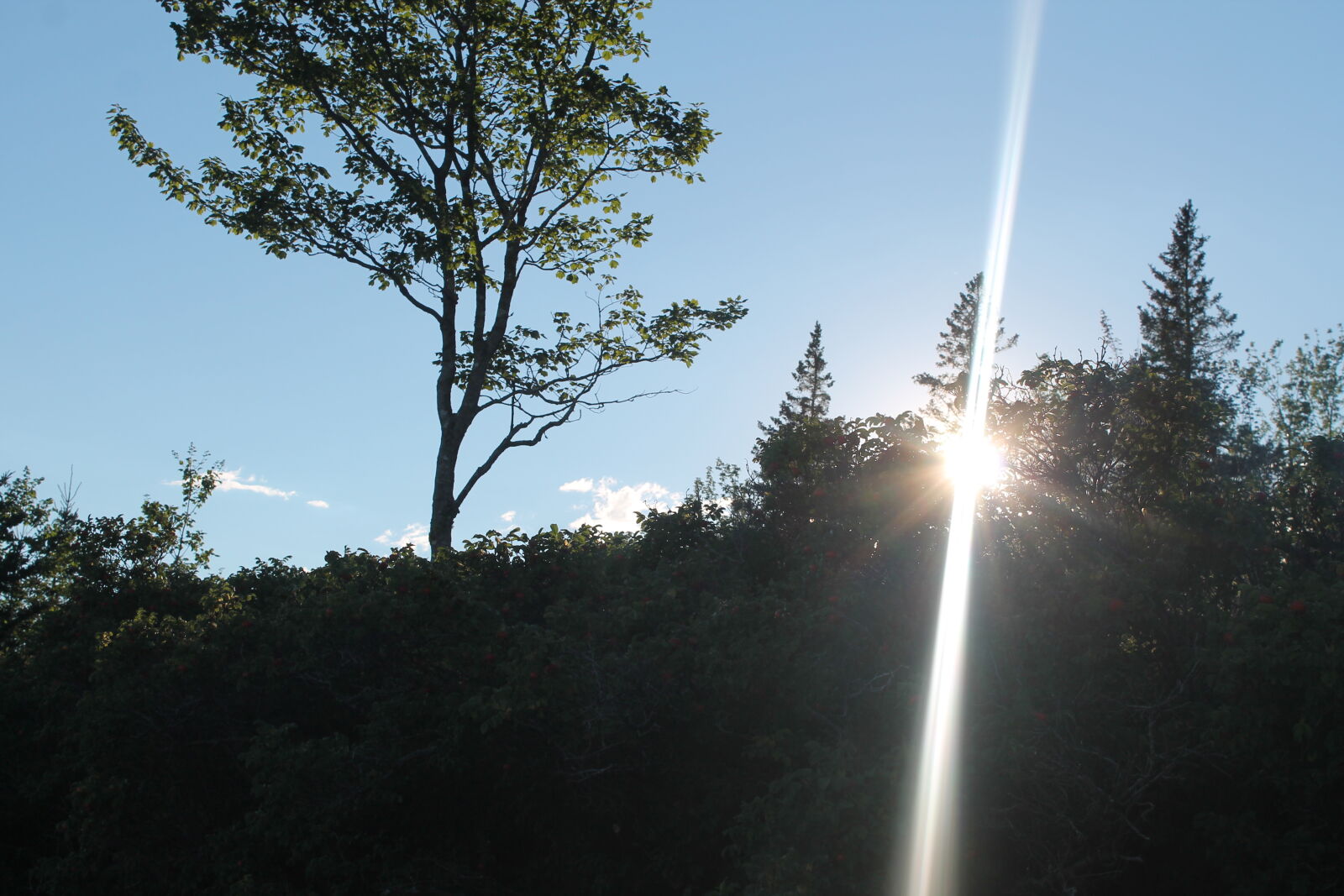 Canon EOS 1100D (EOS Rebel T3 / EOS Kiss X50) sample photo. Light, nature, pretty, sky photography