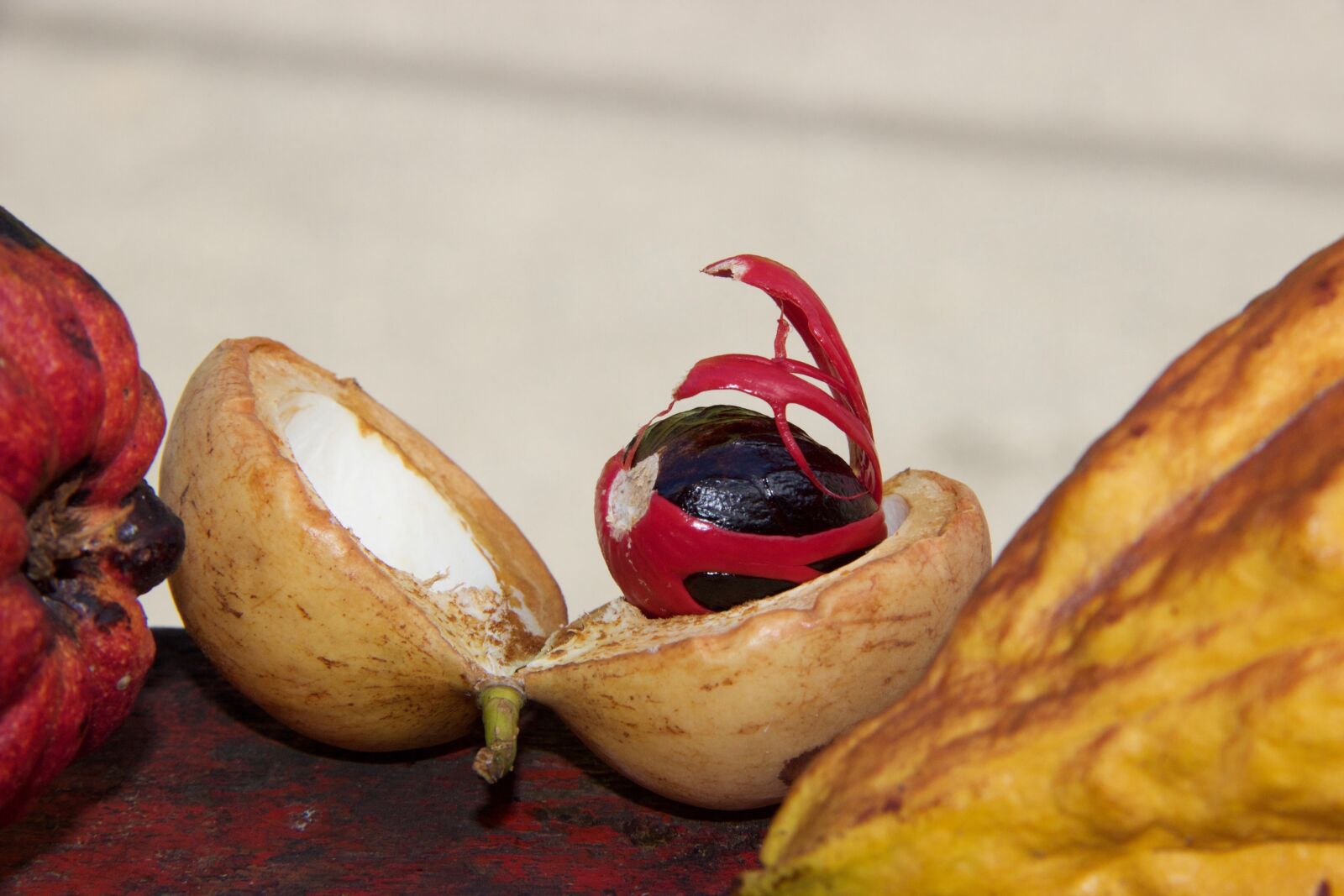 Canon EOS 600D (Rebel EOS T3i / EOS Kiss X5) sample photo. Food, fruit, healthy photography