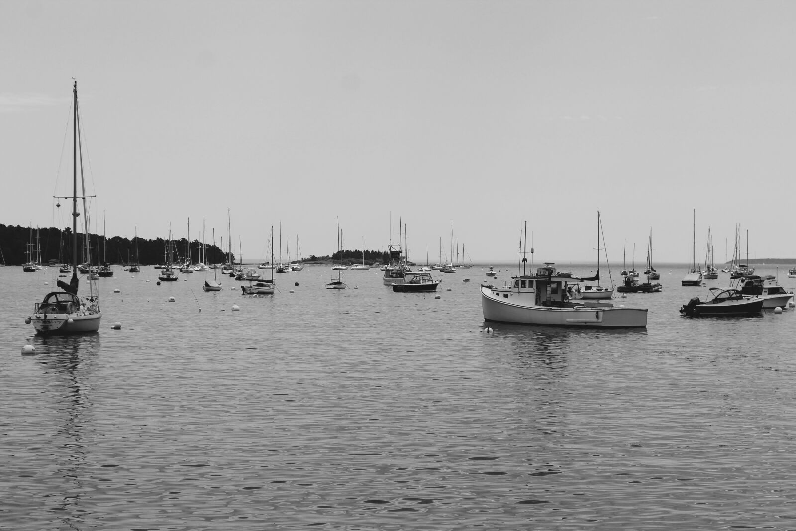 Canon EOS 1100D (EOS Rebel T3 / EOS Kiss X50) sample photo. Black, and, white, boats photography