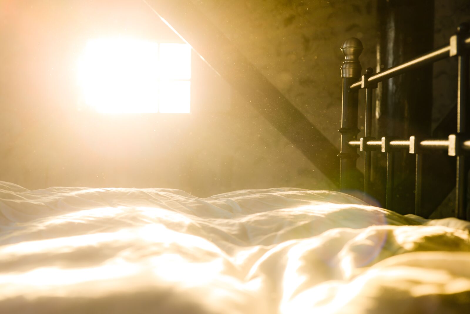 Nikon D610 sample photo. Bed, dust, sun photography