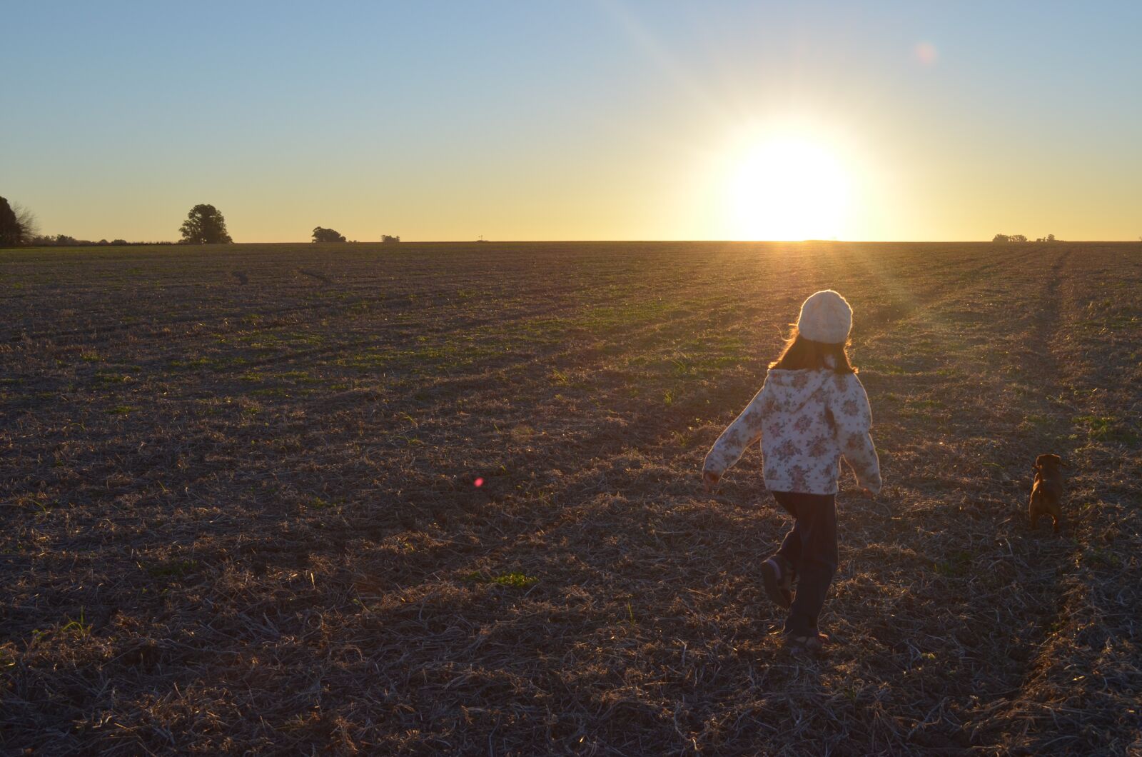 Nikon D5100 sample photo. Sunset, field, winter photography
