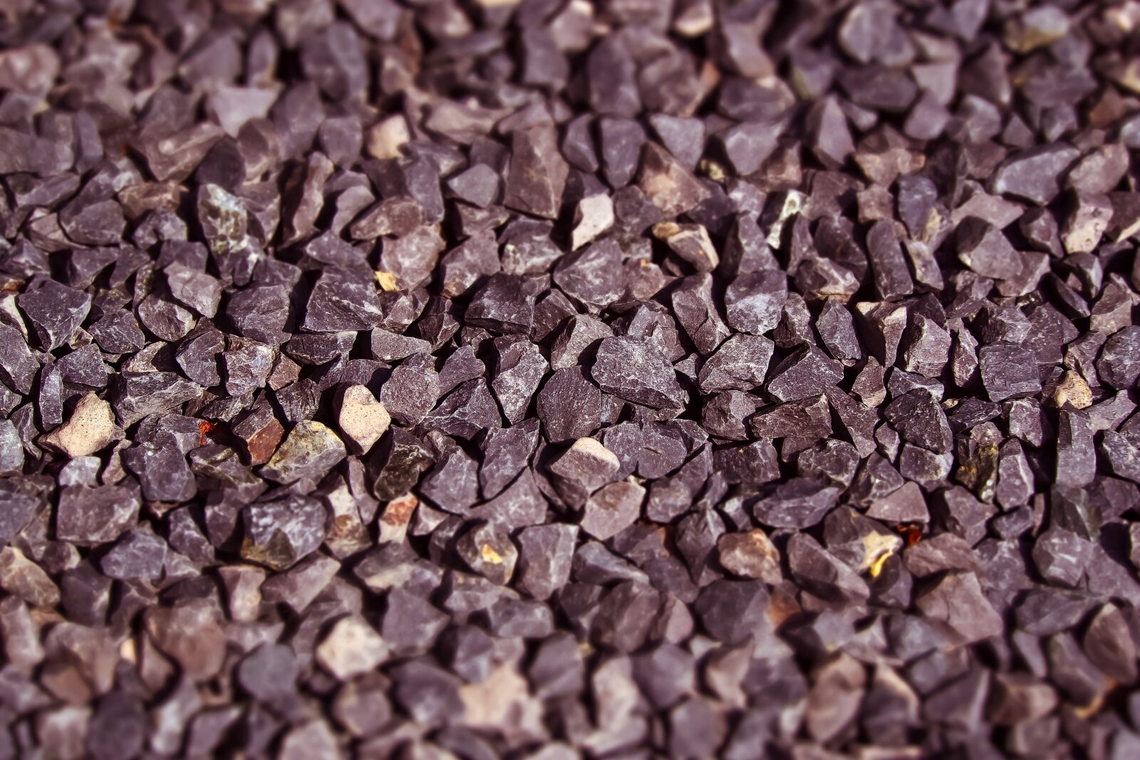 Olympus OM-D E-M10 sample photo. Stones, gravel, steinig photography