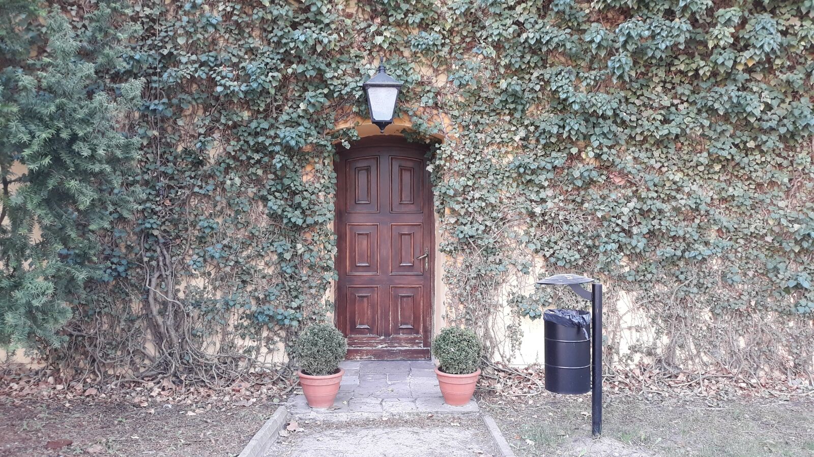 Samsung Galaxy J5 sample photo. The door, ivy, architecture photography