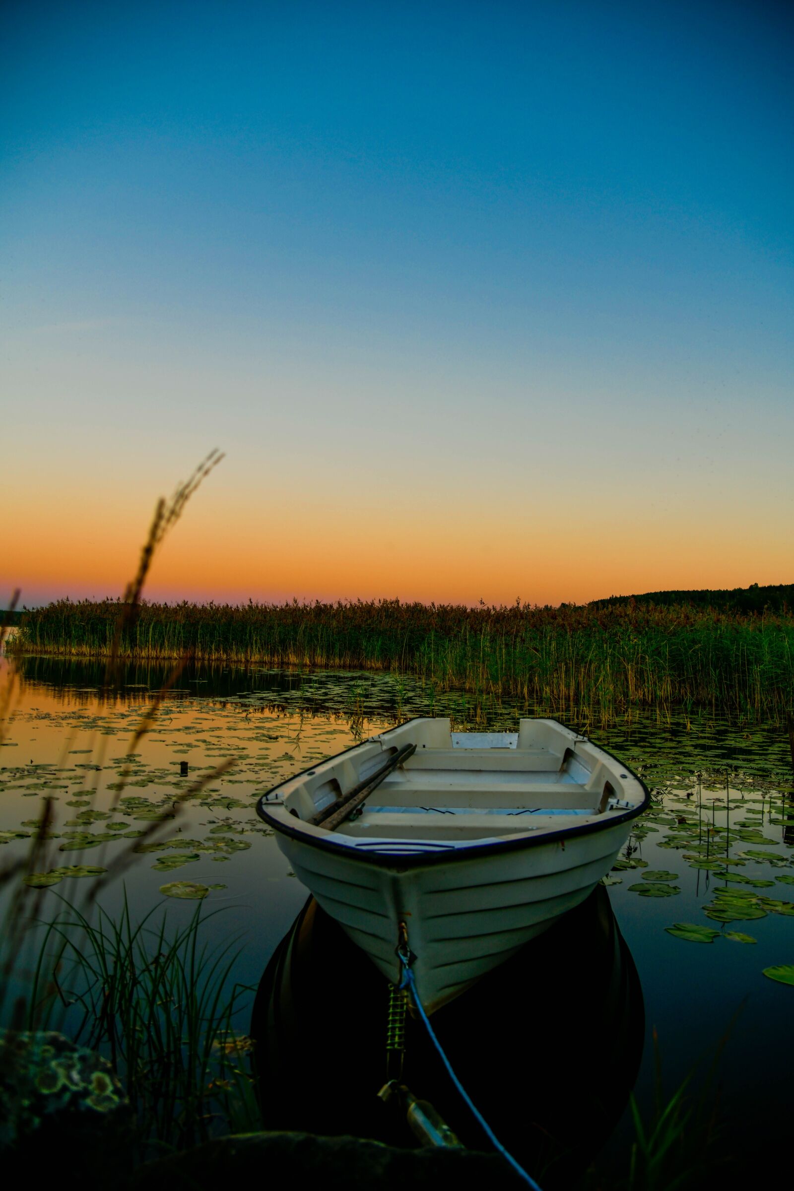 Nikon D850 sample photo. Boat, dawn, sunset photography